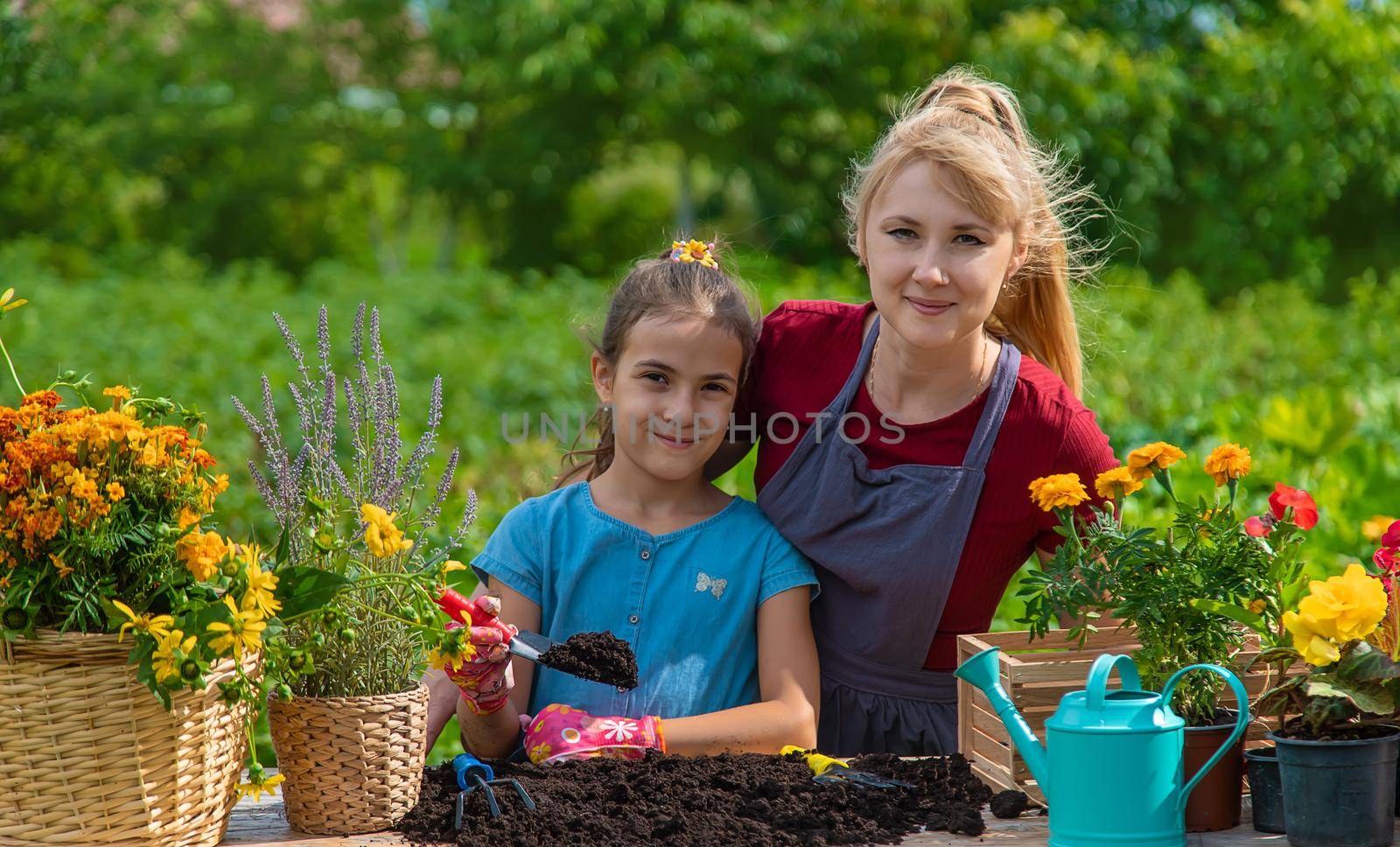 A child with her mother is planting flowers in the garden. Selective focus. Kid.
