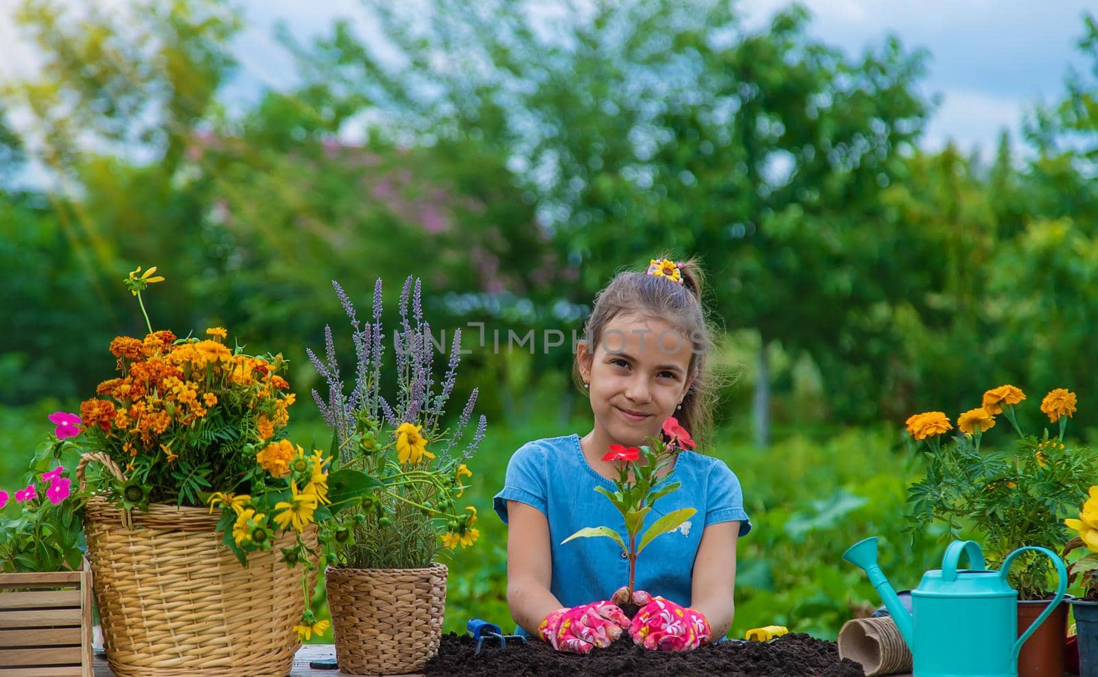 The child is planting flowers in the garden. Selective focus. Kid.