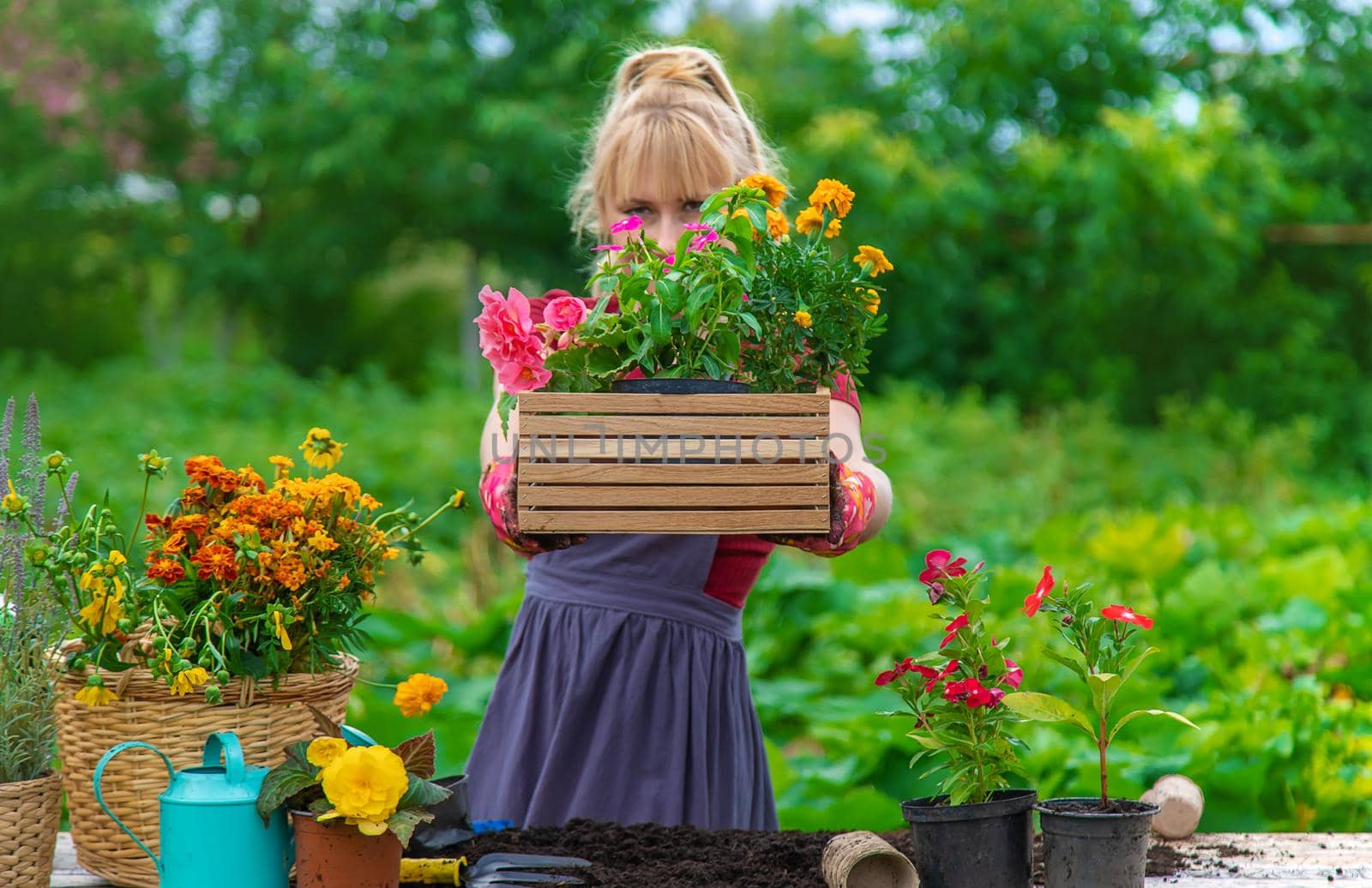 A woman is planting flowers in the garden. Selective focus. People.