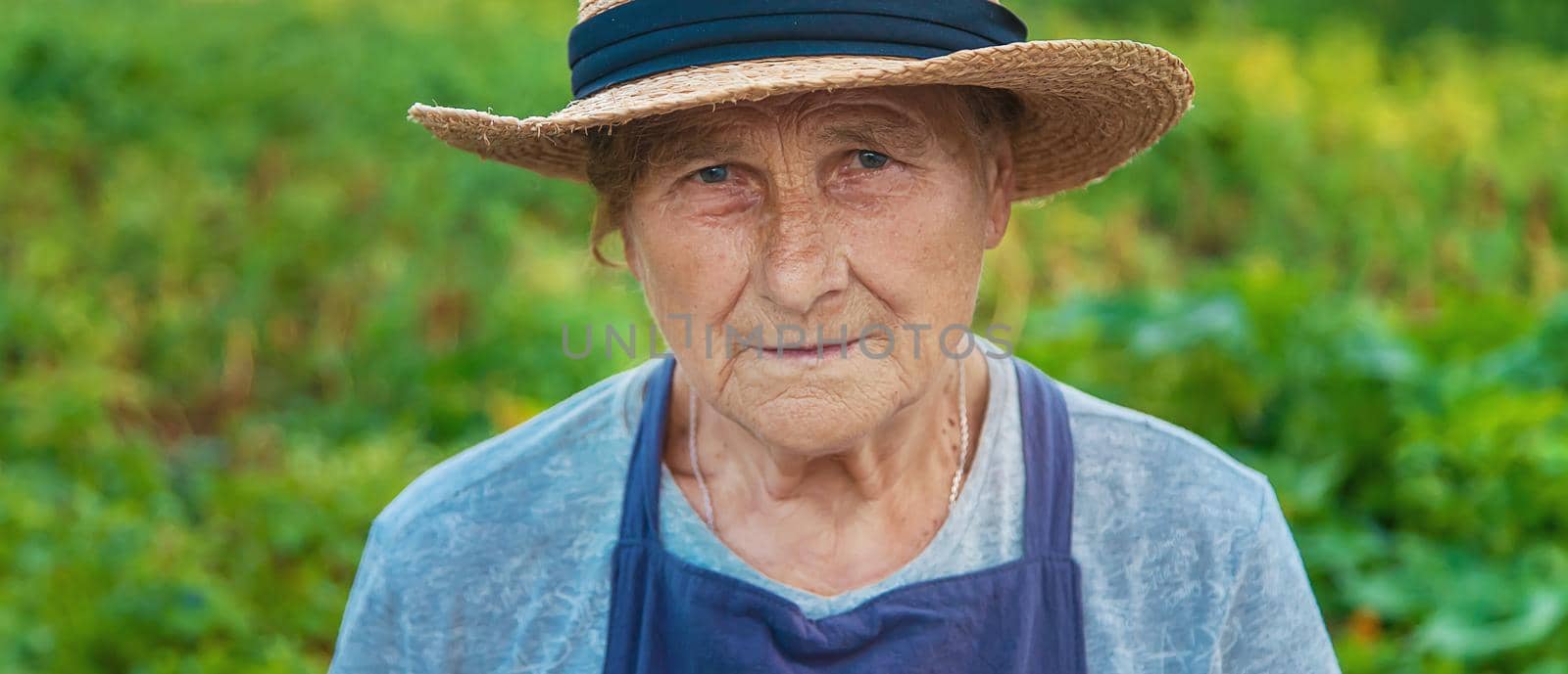Portrait of a grandmother in the garden. selective focus. People.