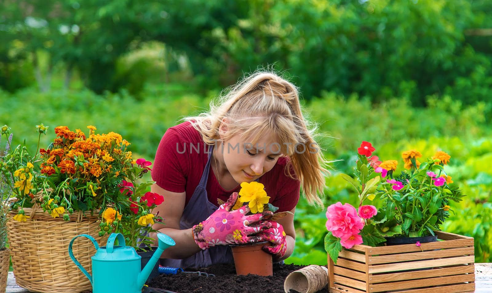 A woman is planting flowers in the garden. Selective focus. People.