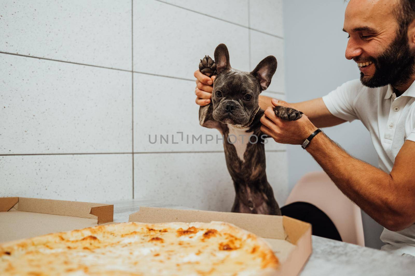Cheerful Man Holding French Bulldog by Paws in Front of Pizza on Kitchen Desk, Small Dog Impatiently Waiting for Human Food