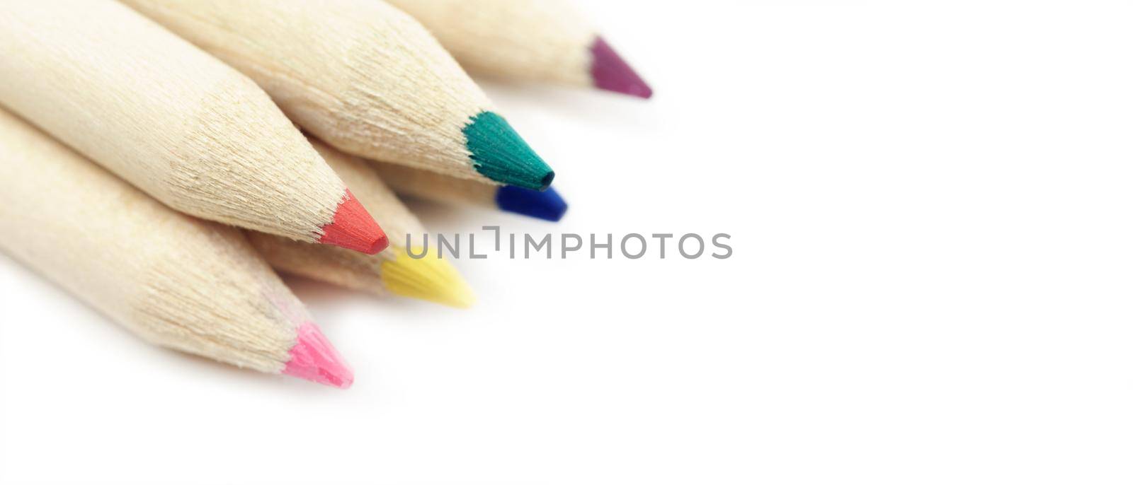 Pencils multicolored close-up macro isolated on a white background. Copy Space