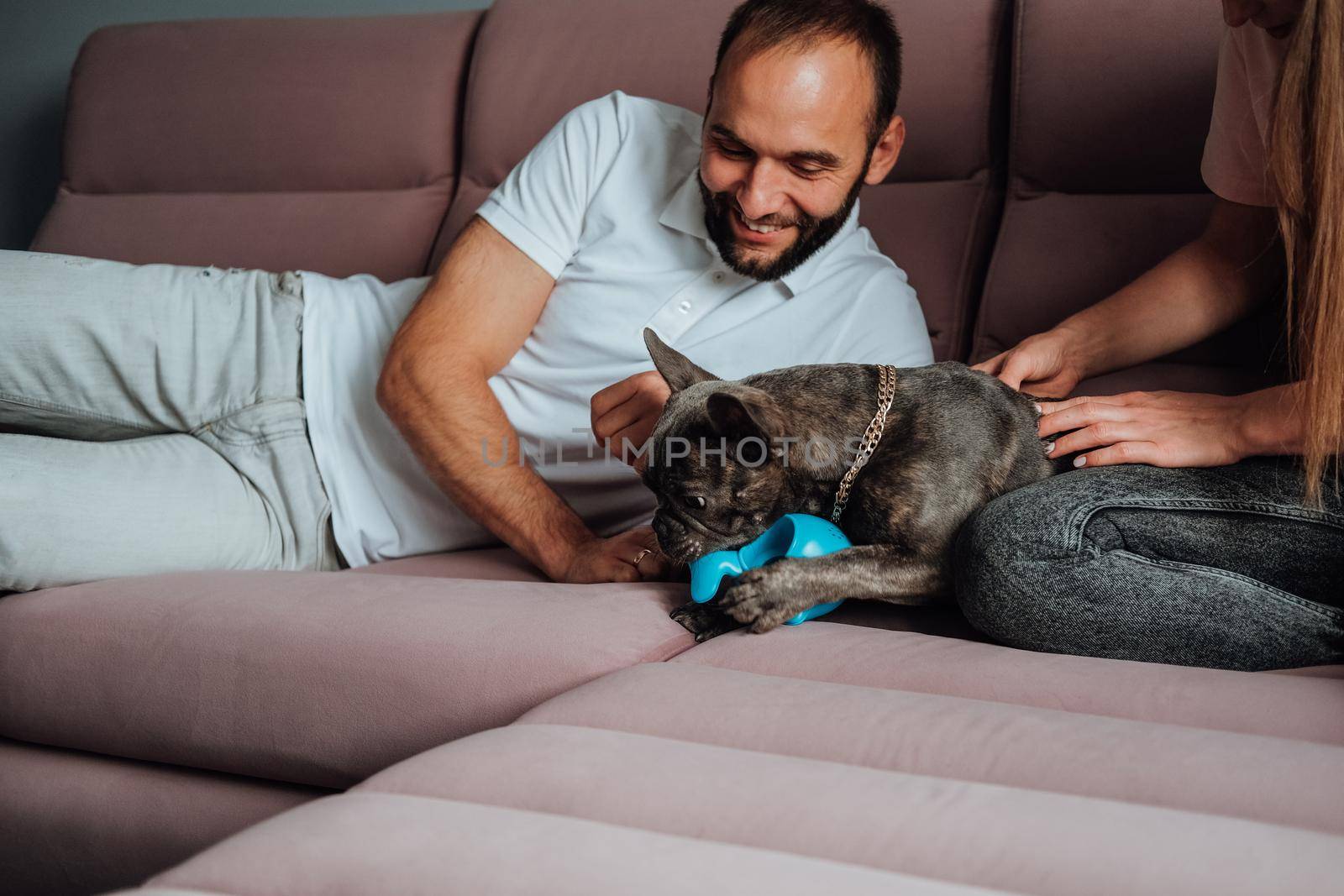 Cheerful Man and Woman Having Fun with Their Pet, Small French Bulldog Playing with Toy on Pink Sofa