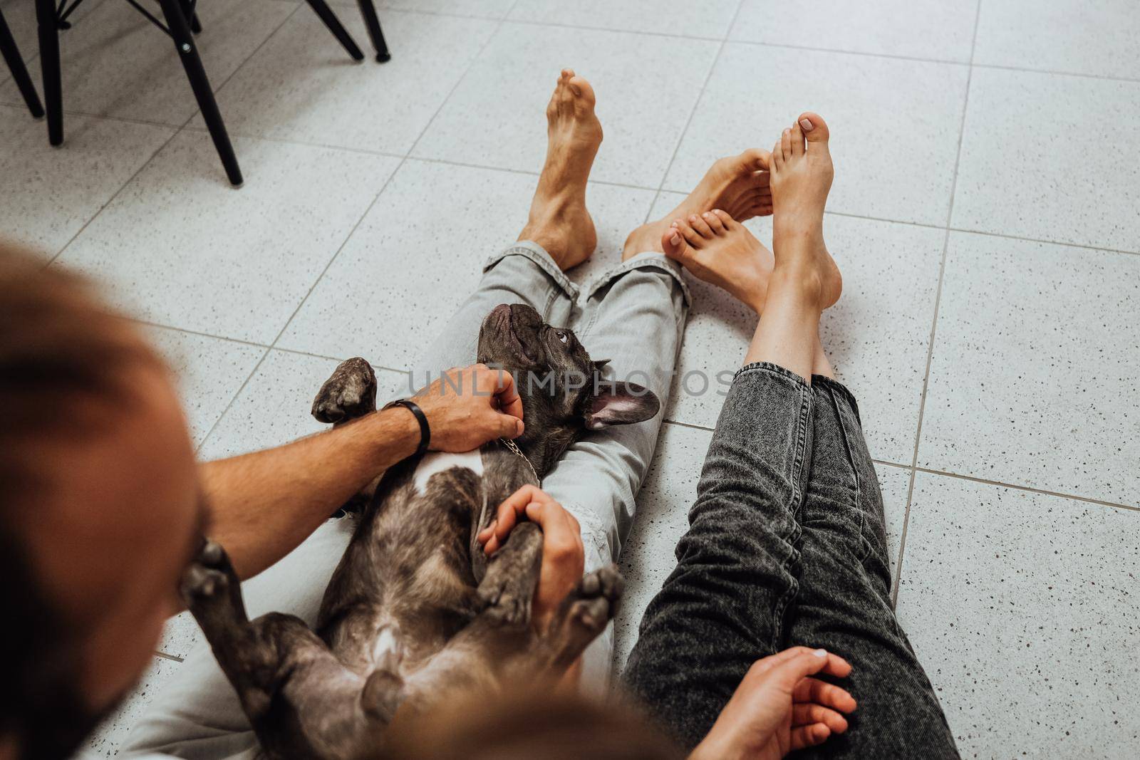 Unrecognisable Man and Woman Sitting on the Floor at Home, French Bulldog Relaxing on Owner's Legs