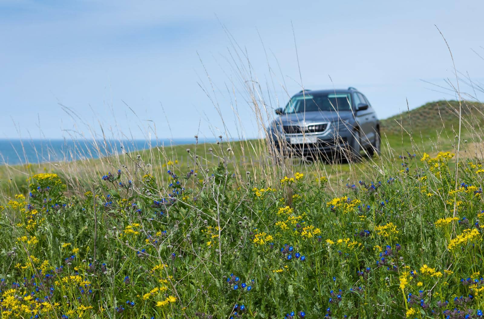Car by the sea with wildflowers background.