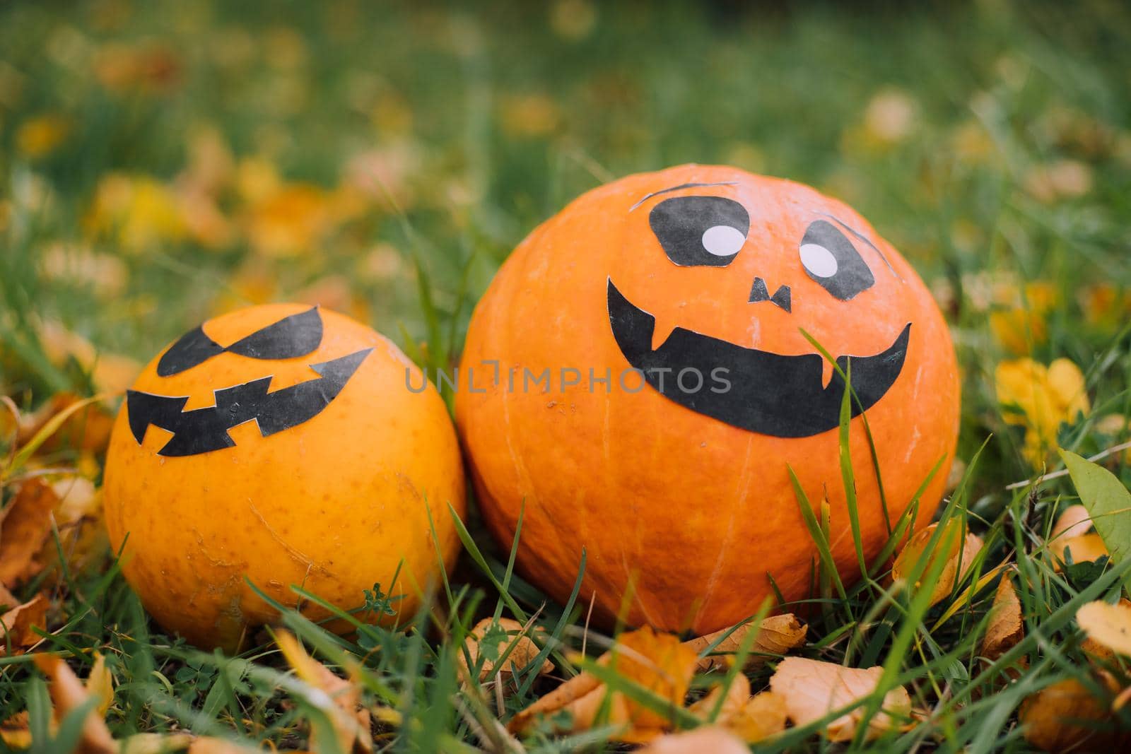 Jackie's Halloween pumpkin is lying on the grass . An article about Halloween. An orange pumpkin with a face. Details of the holiday. Halloween