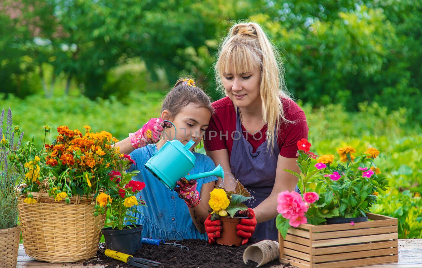 A child with her mother is planting flowers in the garden. Selective focus. Kid.