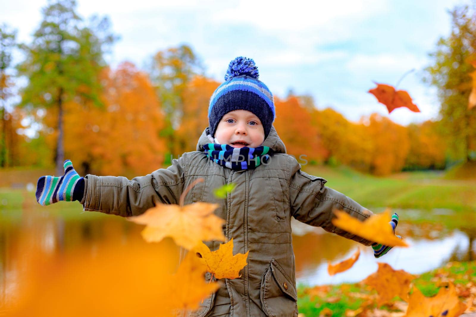 The boy throws autumn leaves . Autumn article. A happy child. Autumn. Fallen leaves