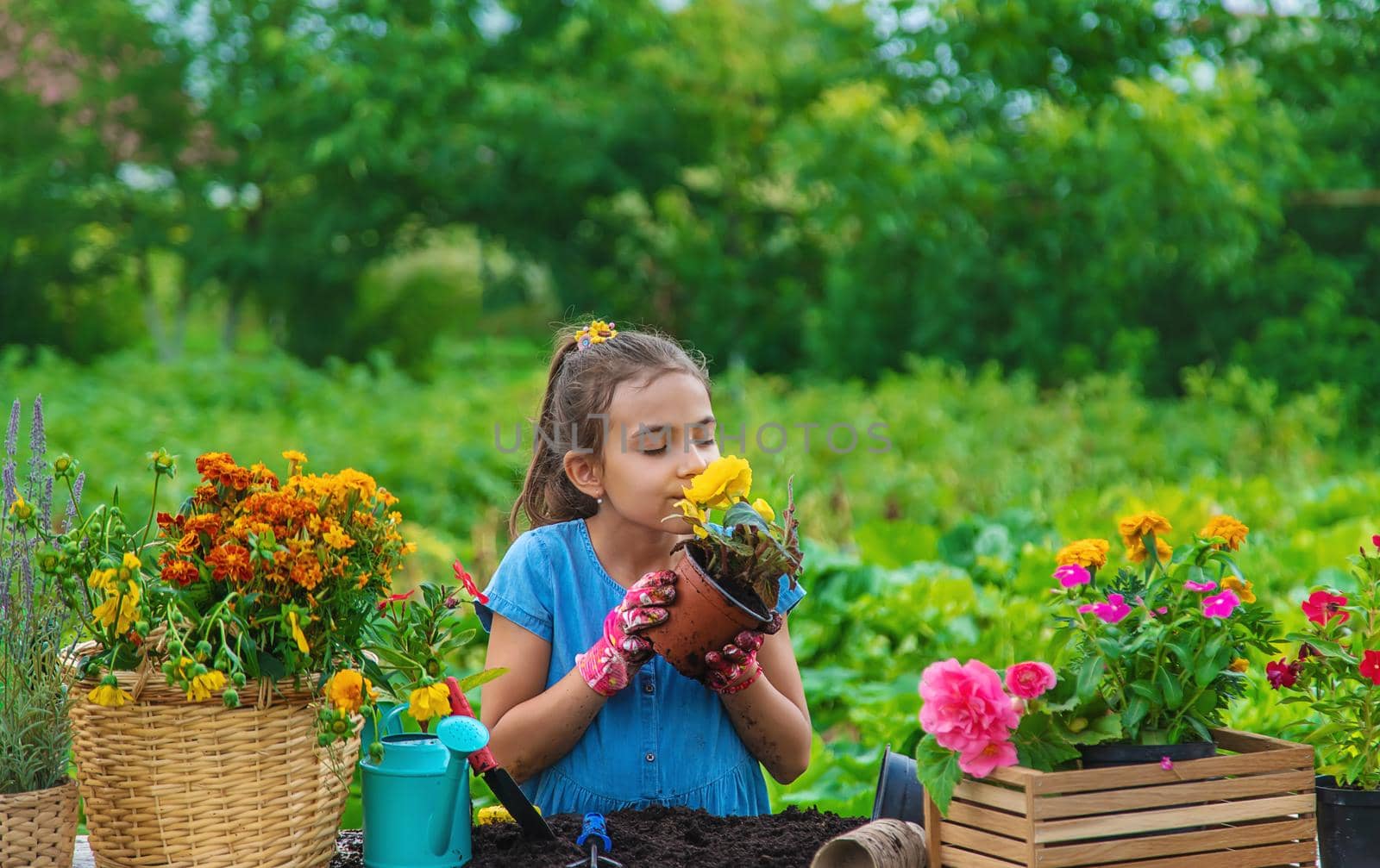 The child is planting flowers in the garden. Selective focus. Kid.