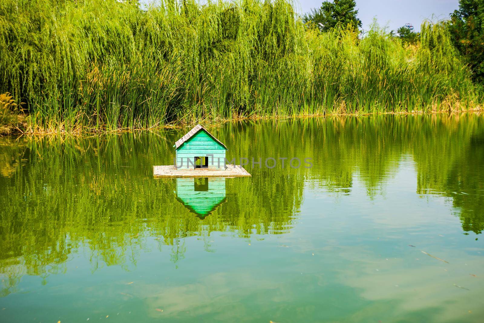 Handmade pond in the summer park by Elet