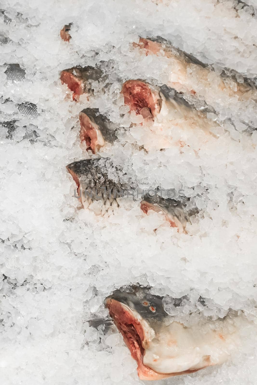 Raw frozen fish cold in ice fresh seafood on the supermarket counter by AYDO8