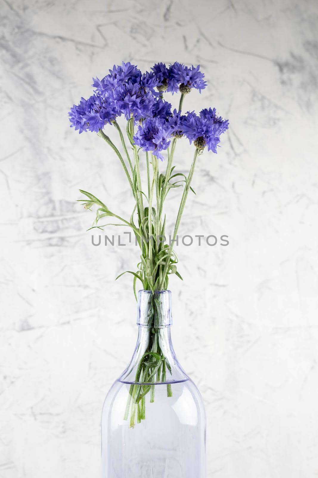 Bouquet of bright blue flowers. Bouquet of wildflowers on a white background.