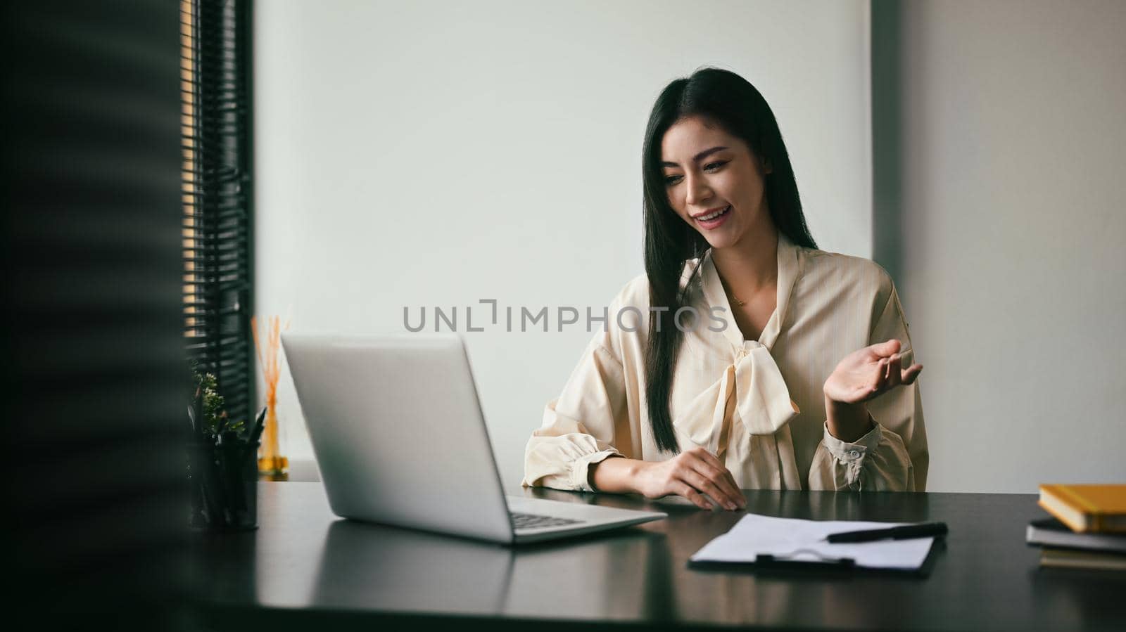 Young businesswoman having virtual video conference meeting with her business partner on laptop computer.