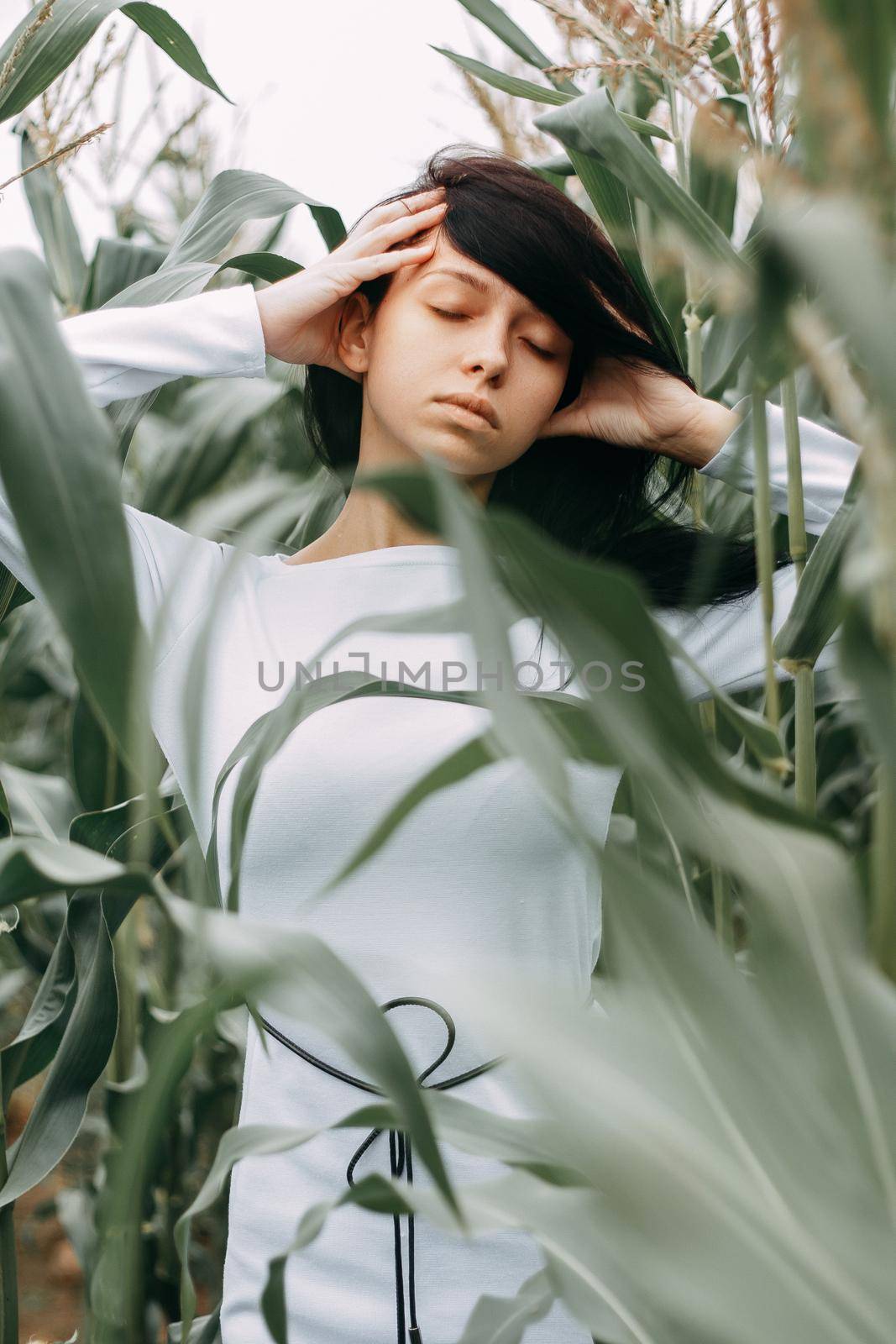 A brunette girl in a white dress in a cornfield. The concept of harvesting.