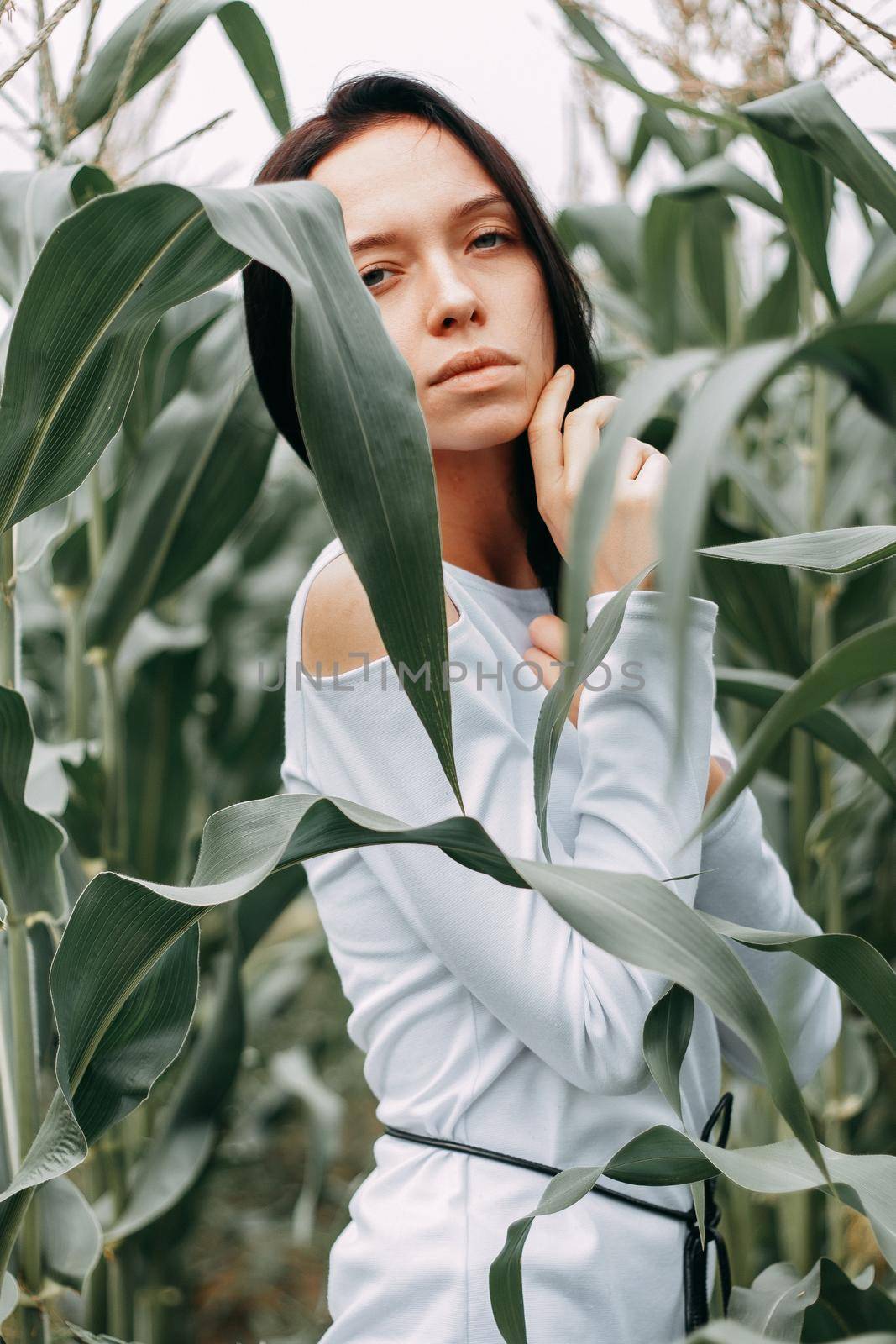 A brunette girl in a white dress in a cornfield. The concept of harvesting.