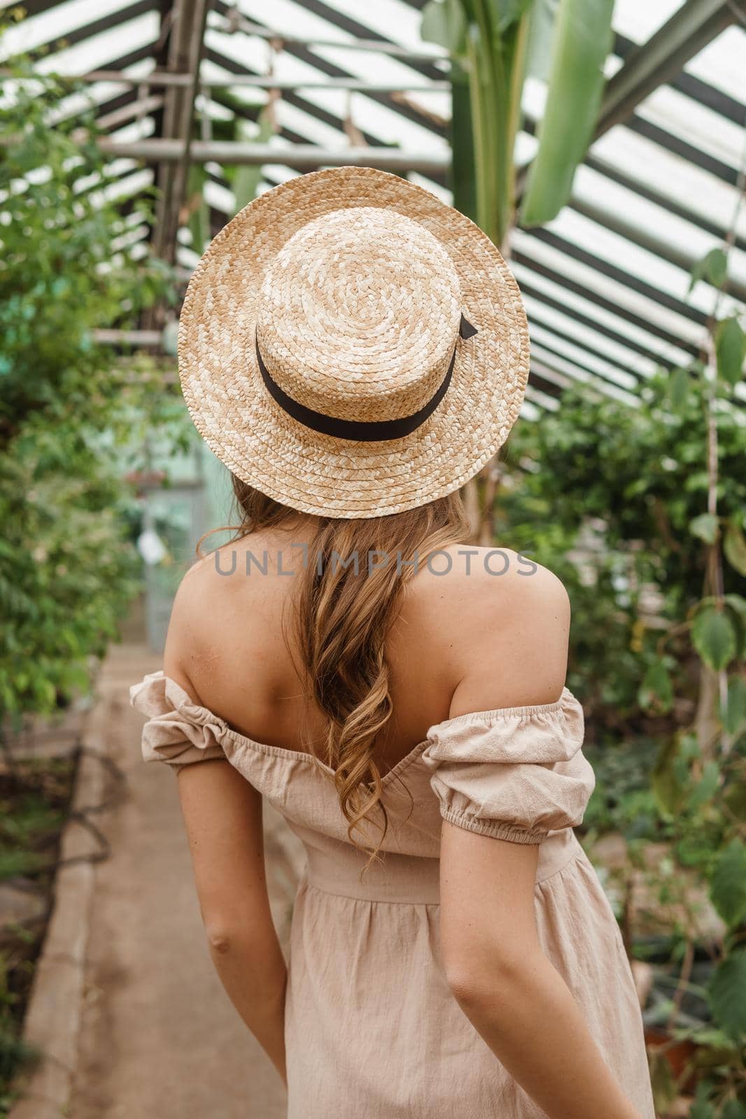 A beautiful young woman takes care of plants in a greenhouse. The concept of gardening and an eco-friendly lifestyle.