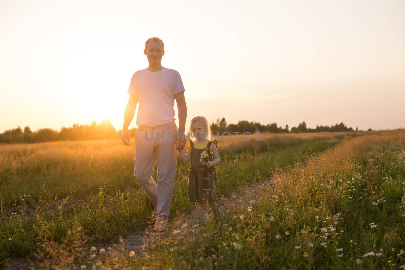 Dad and his blonde daughter are walking and having fun in a chamomile field. The concept of Father's Day, family and nature walks.