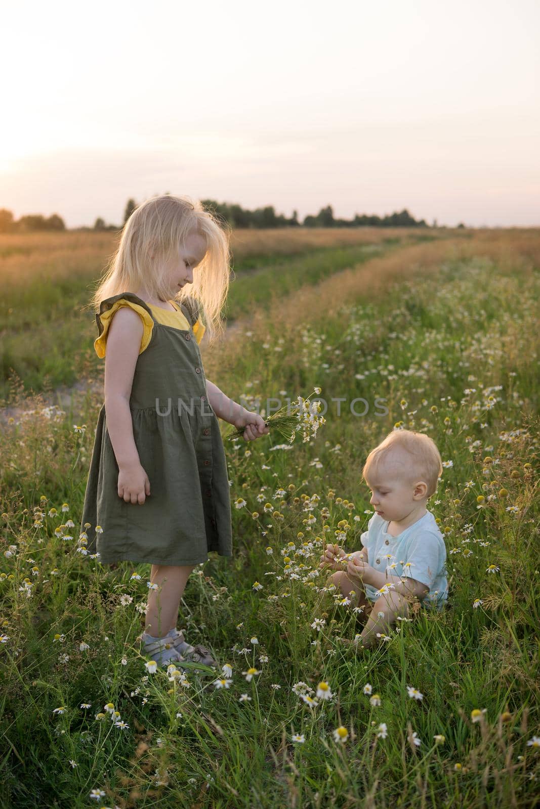 A little boy and a girl are picking flowers in a chamomile field. The concept of walking in nature, freedom and a healthy lifestyle by Annu1tochka