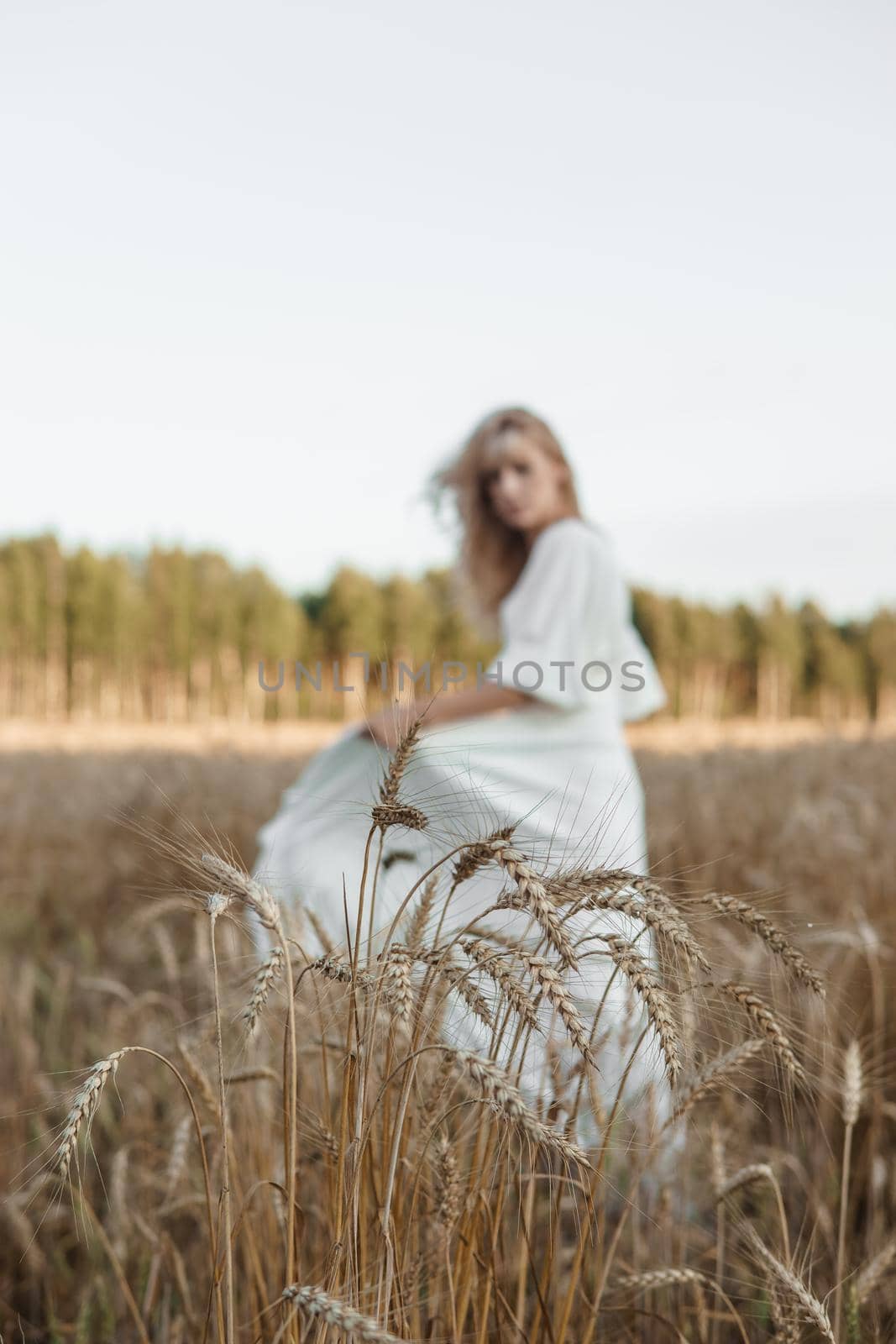 A blonde woman in a long white dress walks in a wheat field. The concept of a wedding and walking in nature.