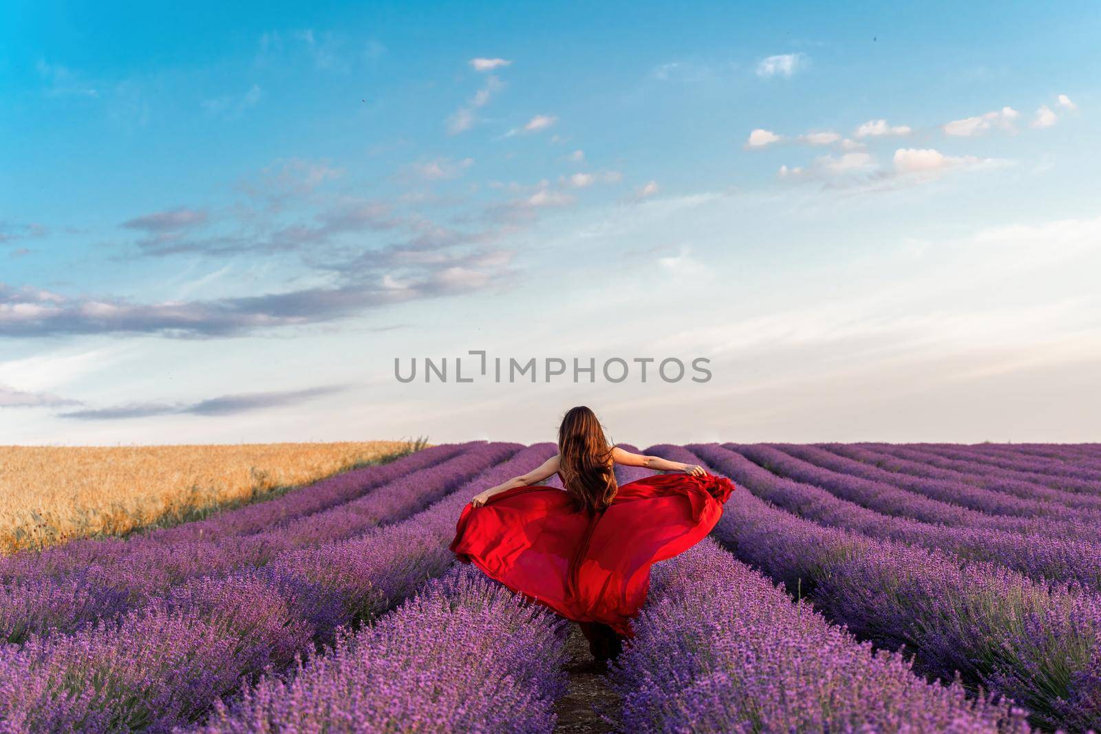 Among the lavender fields. A beautiful girl in a red dress runs against the background of a large lavender field.