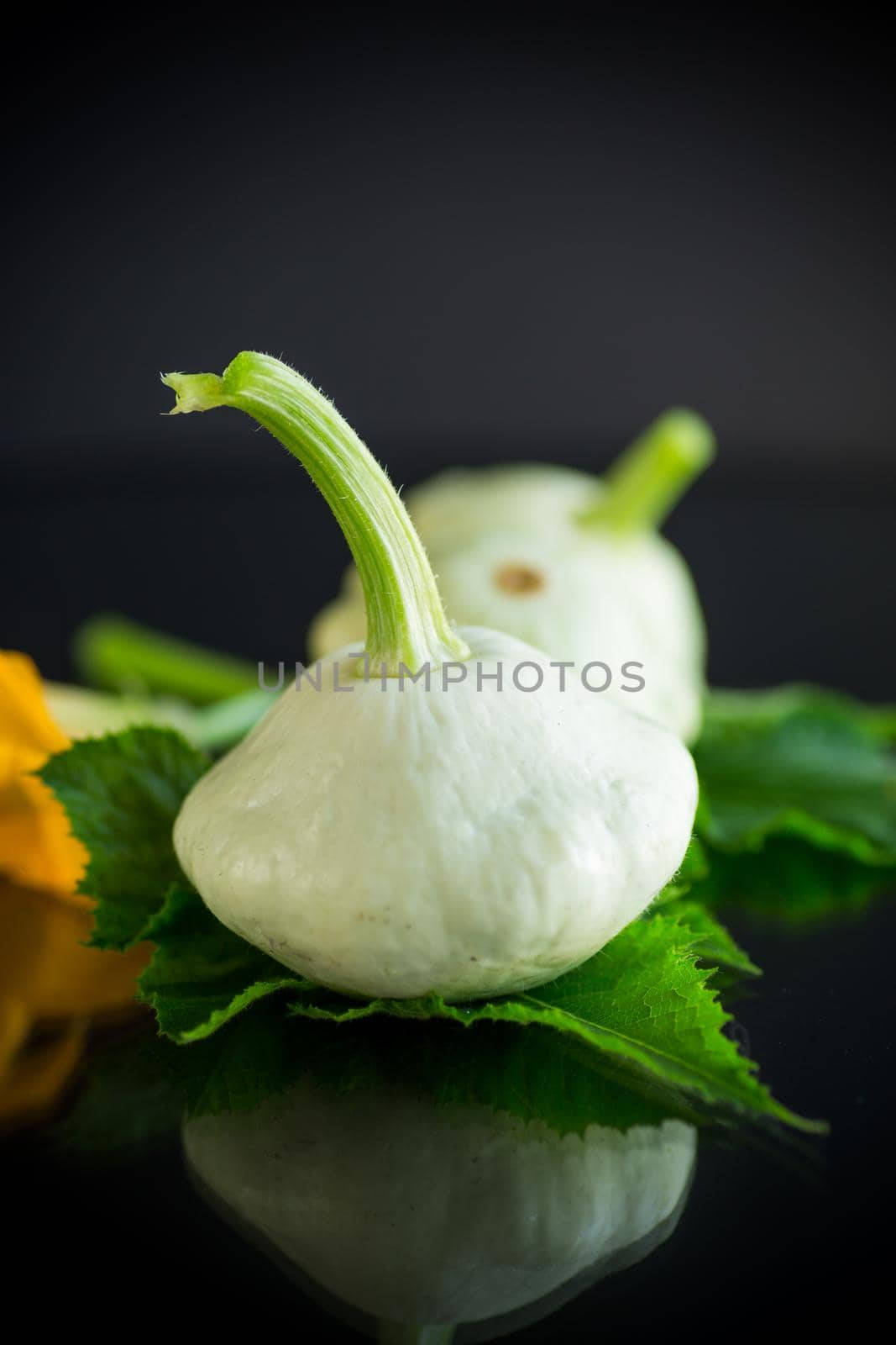 fresh organic squash with flowers and foliage isolated on black background