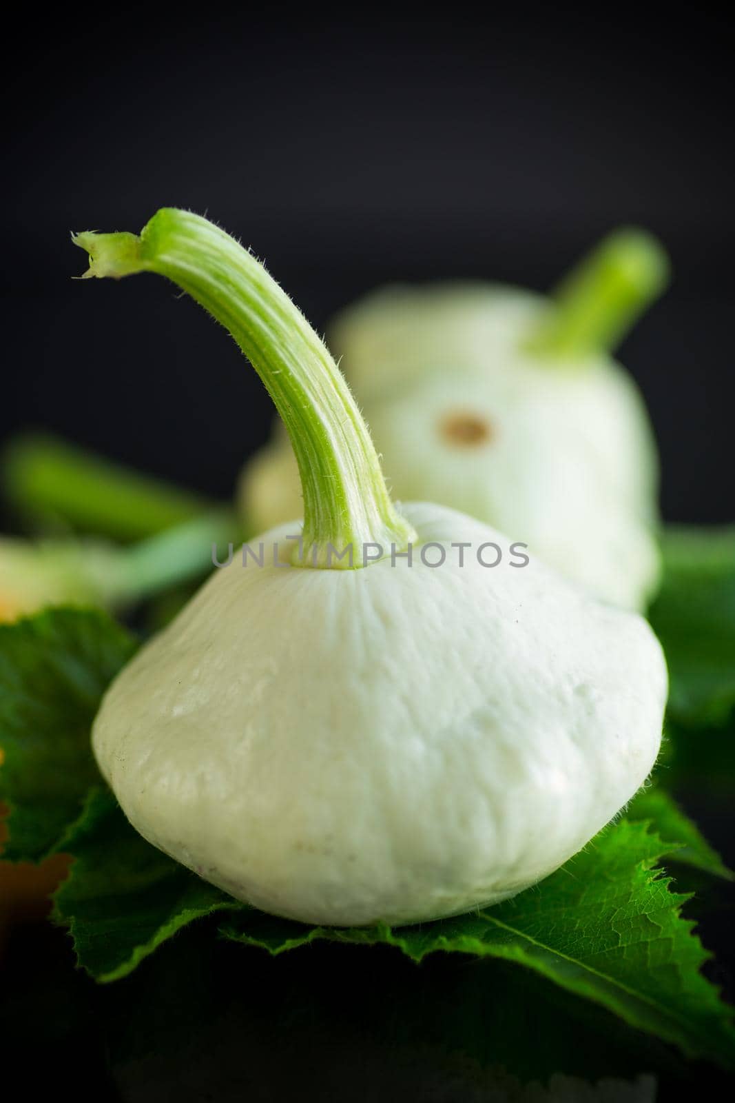 fresh organic squash with flowers and foliage isolated on black background