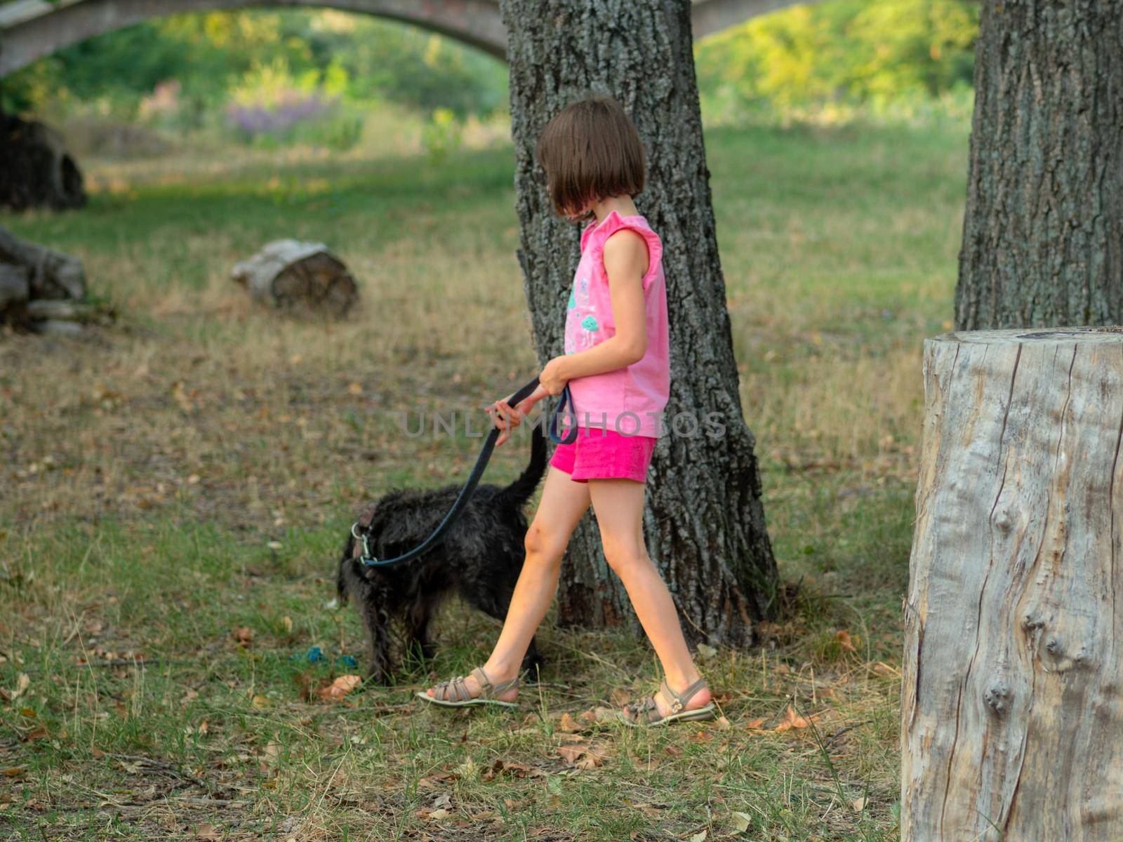 little girl walking the dog in a park