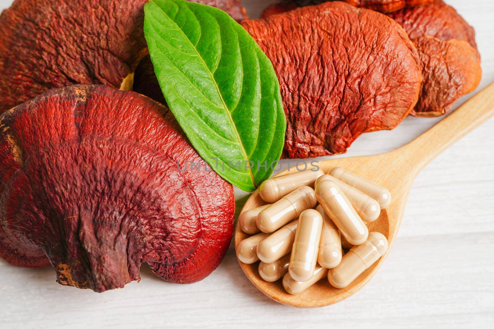 Lingzhi or Reishi mushroom with capsules, organic natural healthy food.