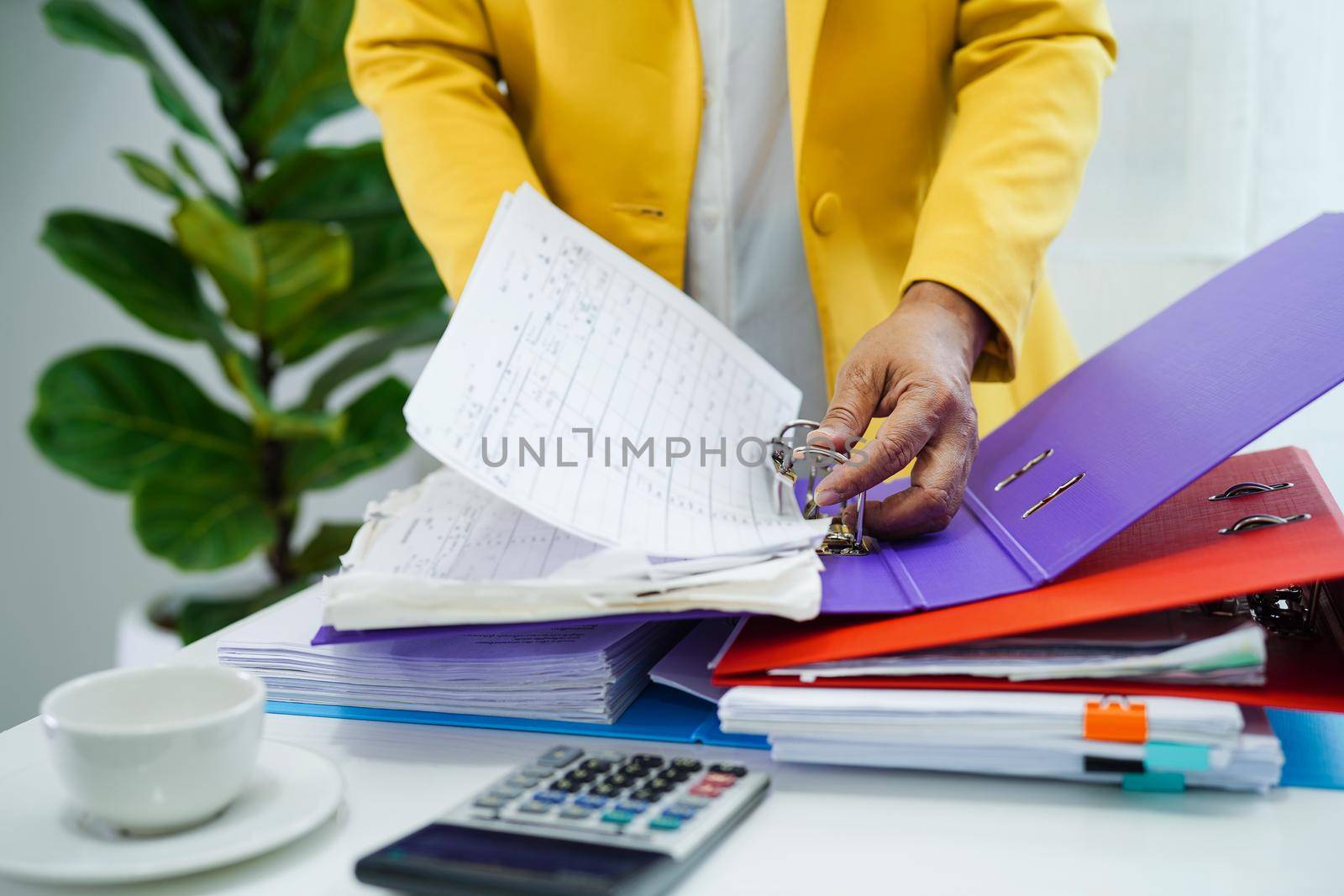 Business woman busy working with documents in office.