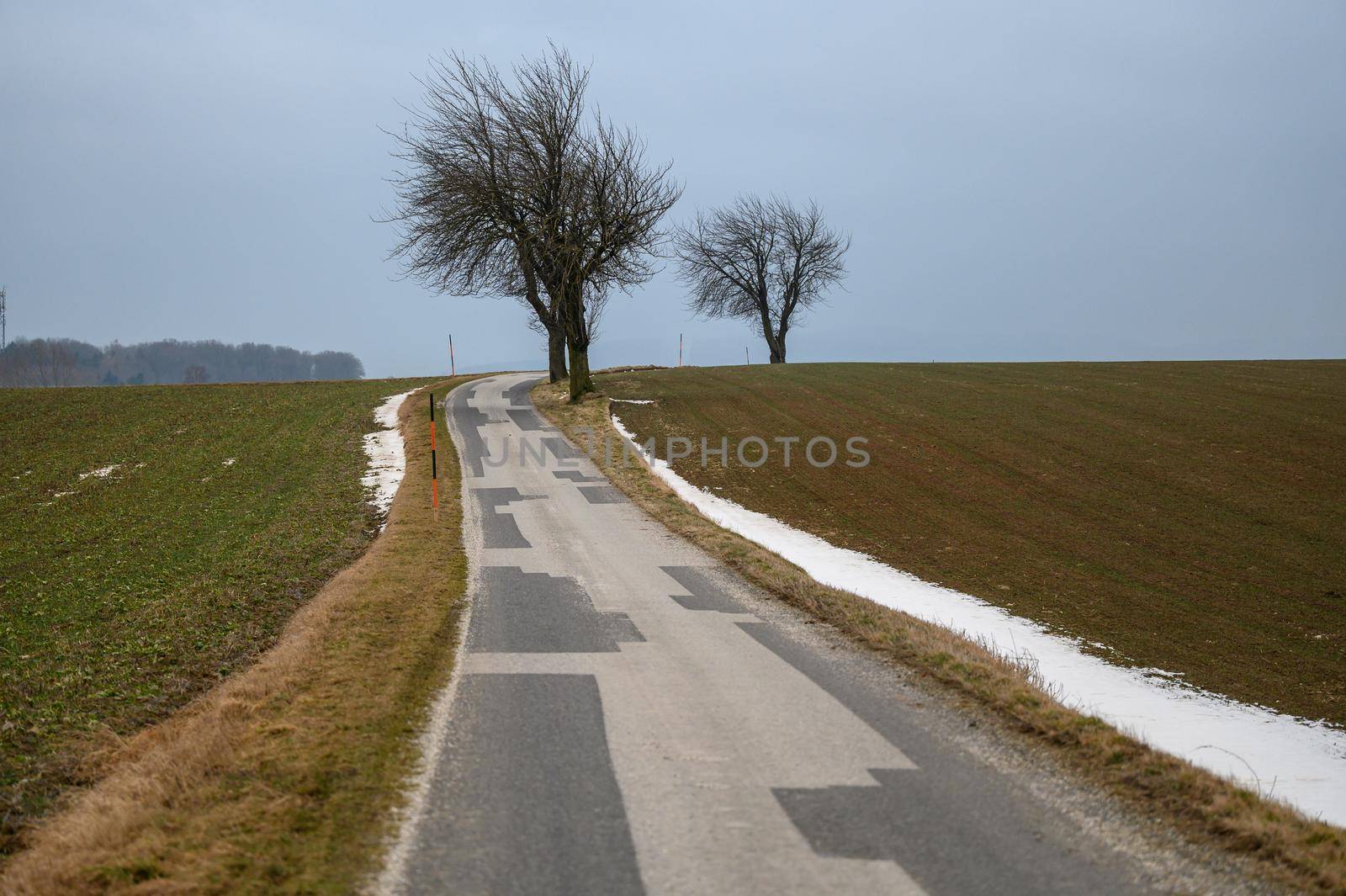 A narrow country road leads through a bare landscape with few trees and a little snow on the roadside.