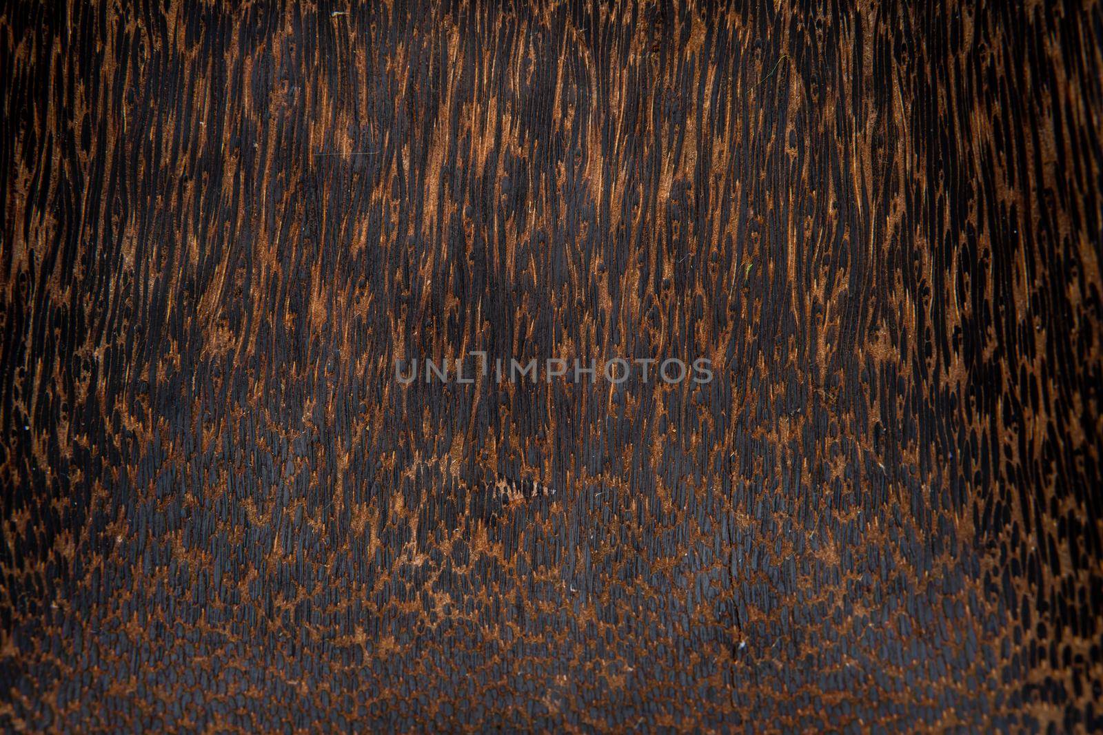 Close-up cross-sections of brown wood texture of palm trees. Coconut tree. Wood products. by Matiunina