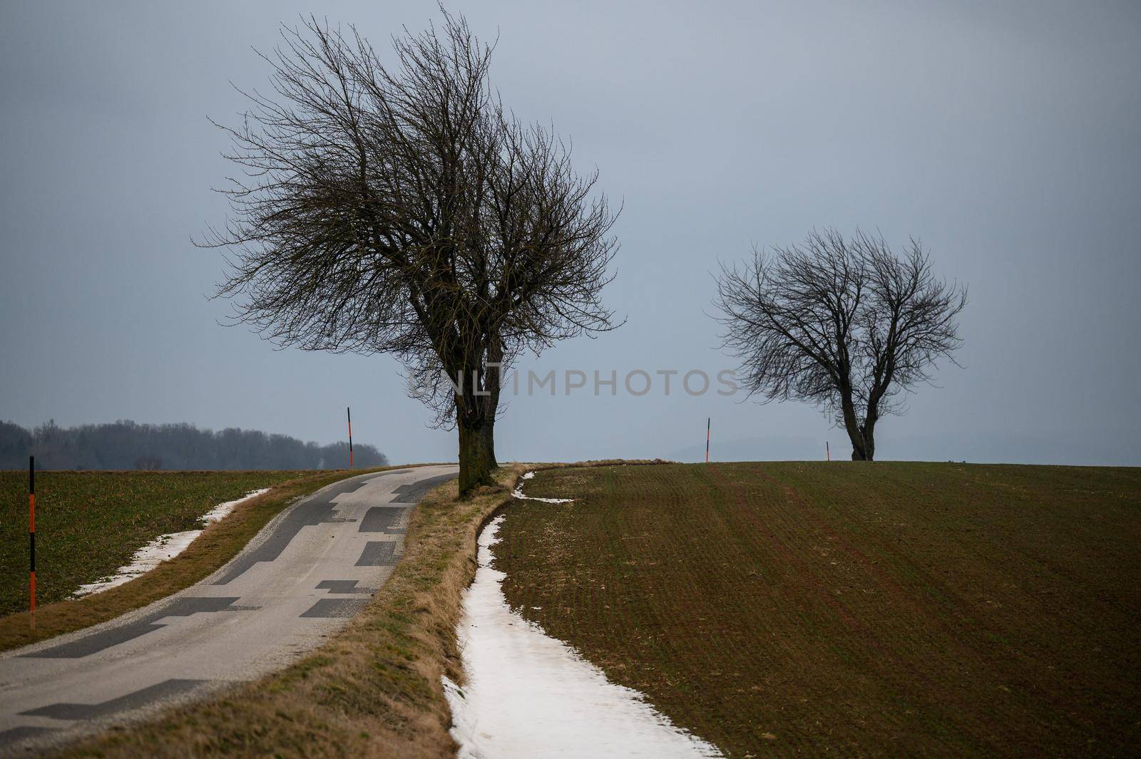 A narrow country road leads through a bare landscape with few trees and a little snow on the roadside.