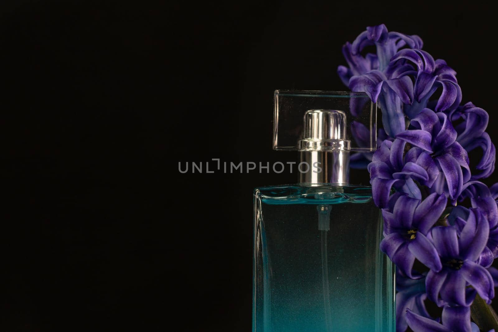Elegant perfume bottle isolated on black background with copy space.