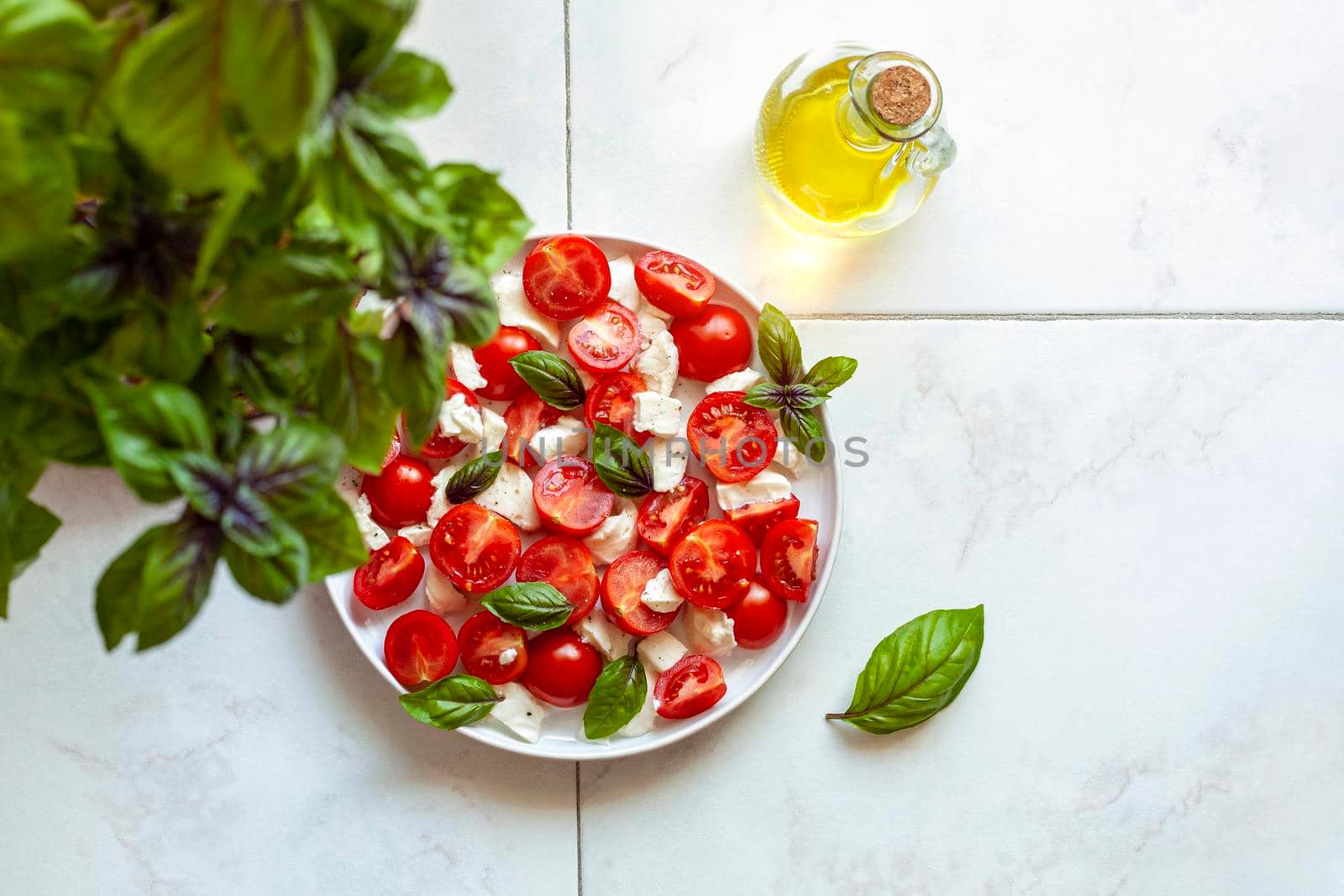 portion of caprese salad under basil plant, concept of home gardening, top view, copy space