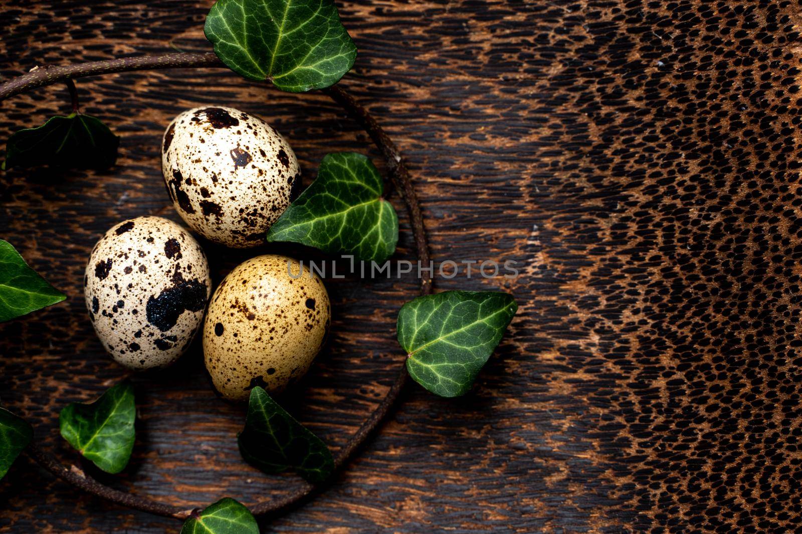 three quail eggs on a wooden stand. Palm tree stand. Around the eggs is a sprig of ivy