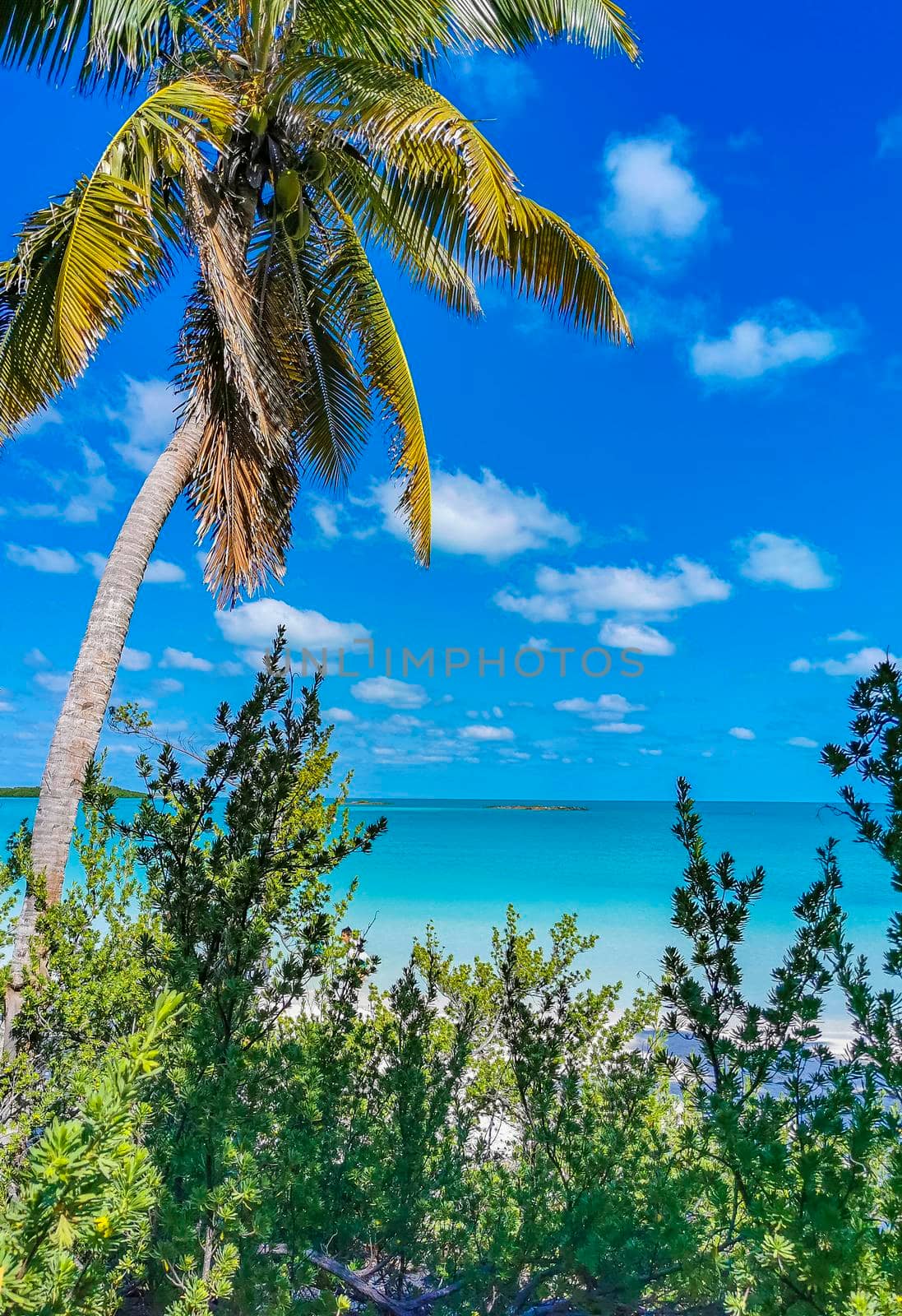 Amazing landscape panorama view with turquoise blue water palm trees blue sky and the natural tropical beach and the forest on the beautiful island of Contoy in Quintana Roo Mexico.