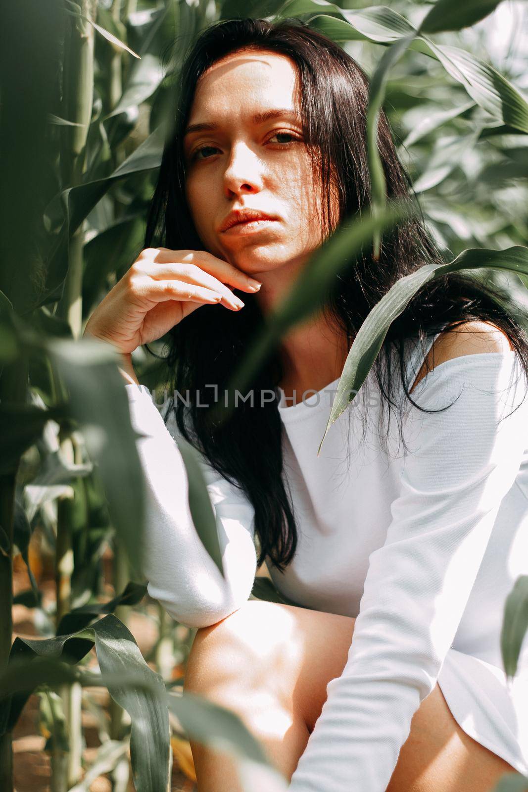 A brunette girl in a white dress in a cornfield. The concept of harvesting.