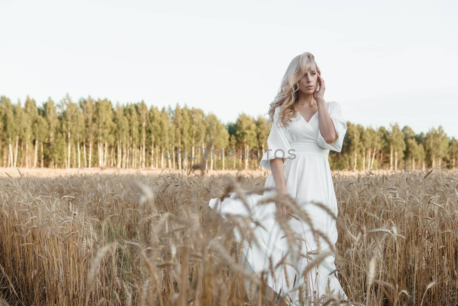 A blonde woman in a long white dress walks in a wheat field. The concept of a wedding and walking in nature.