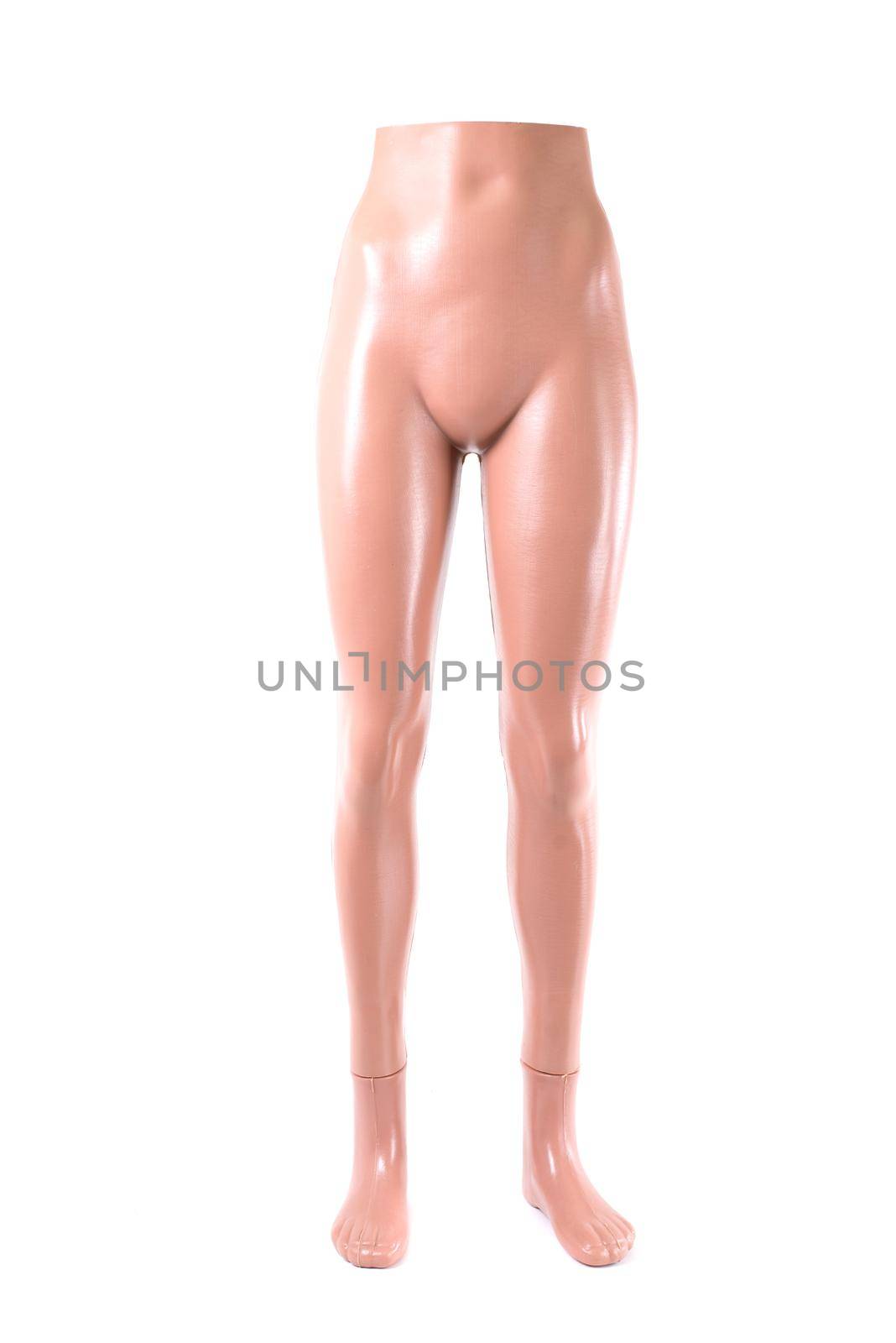 Mannequin on a white background. Close up.