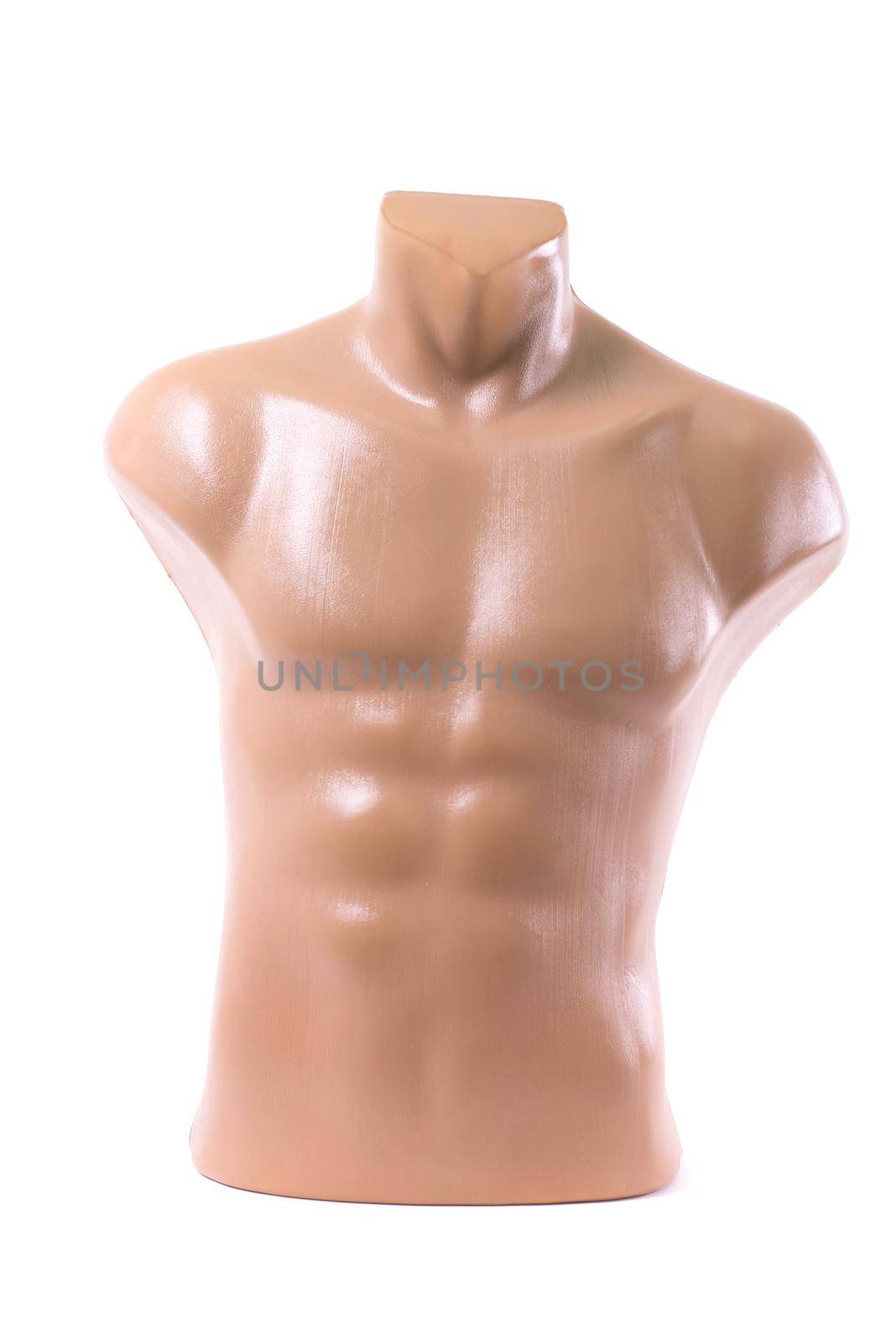 Mannequin on isolated background. Close up.