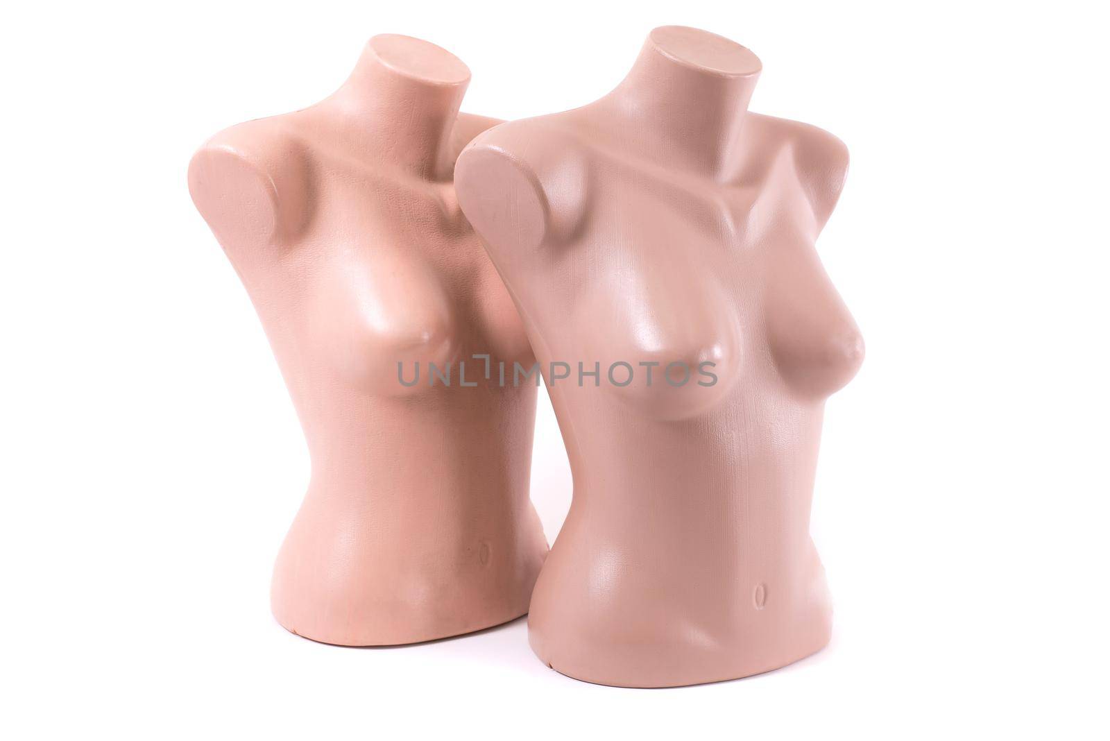 Mannequin on isolated background. Close up.