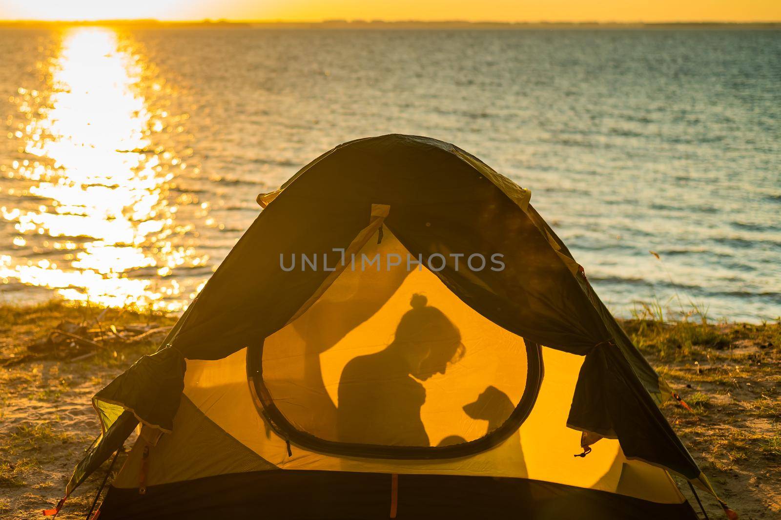 Woman and dog in a tourist tent at sunset. Camping with a pet.