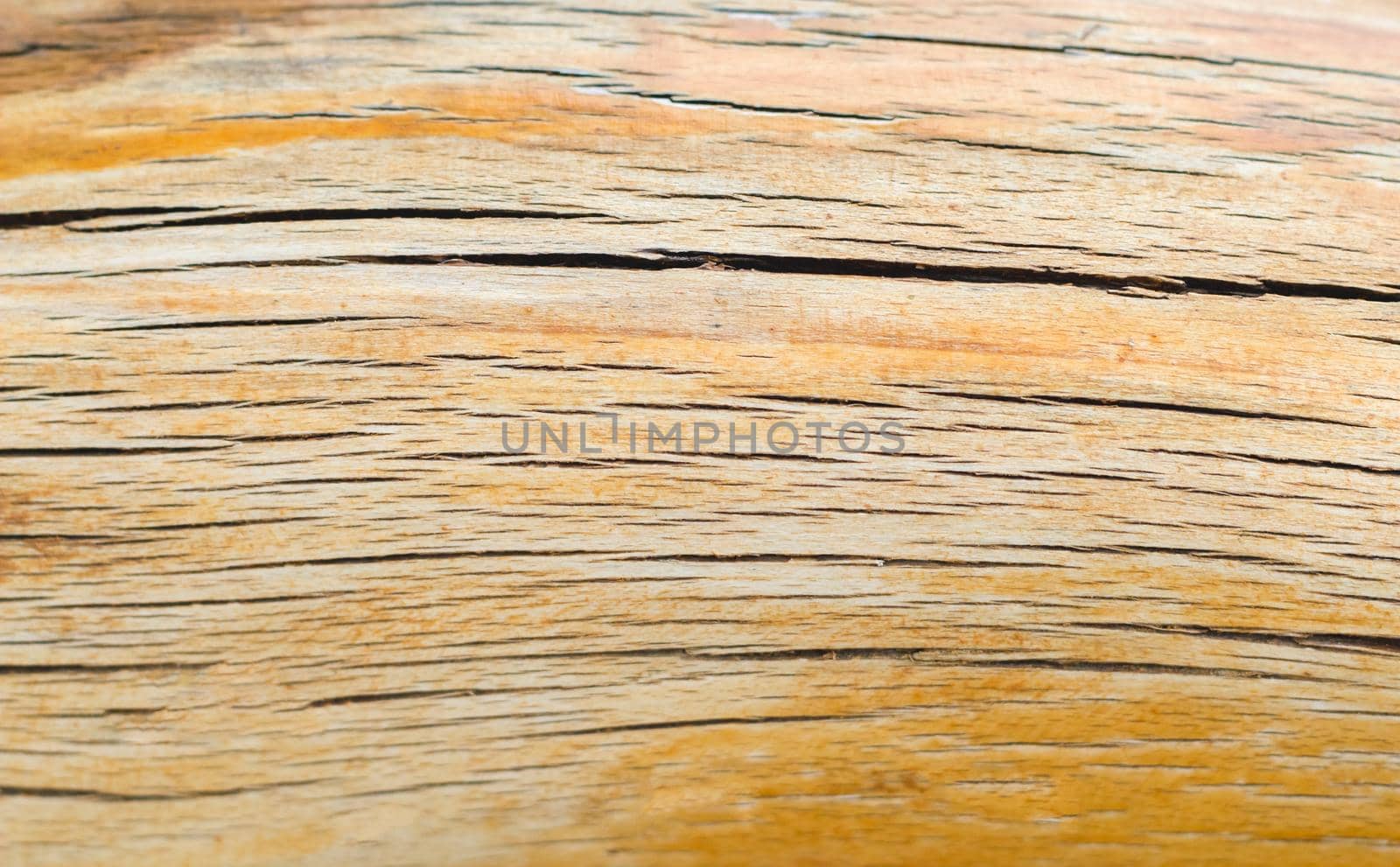 wood texture close-up