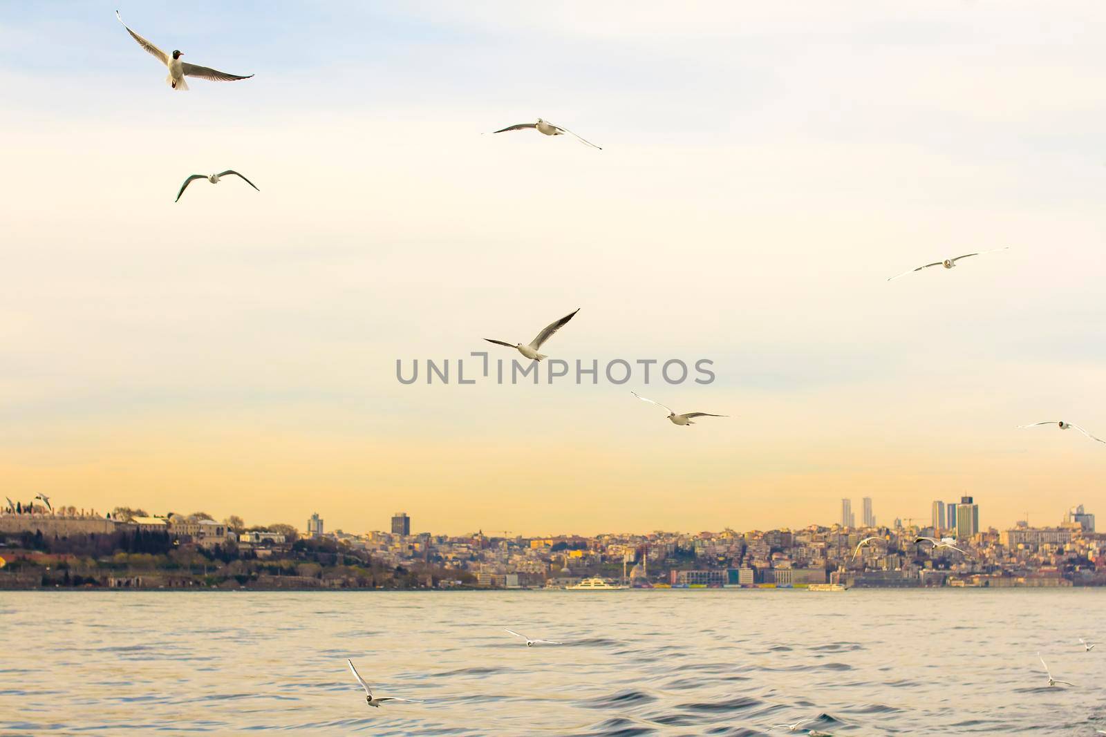 Istanbul the capital of Turkey, eastern tourist city.