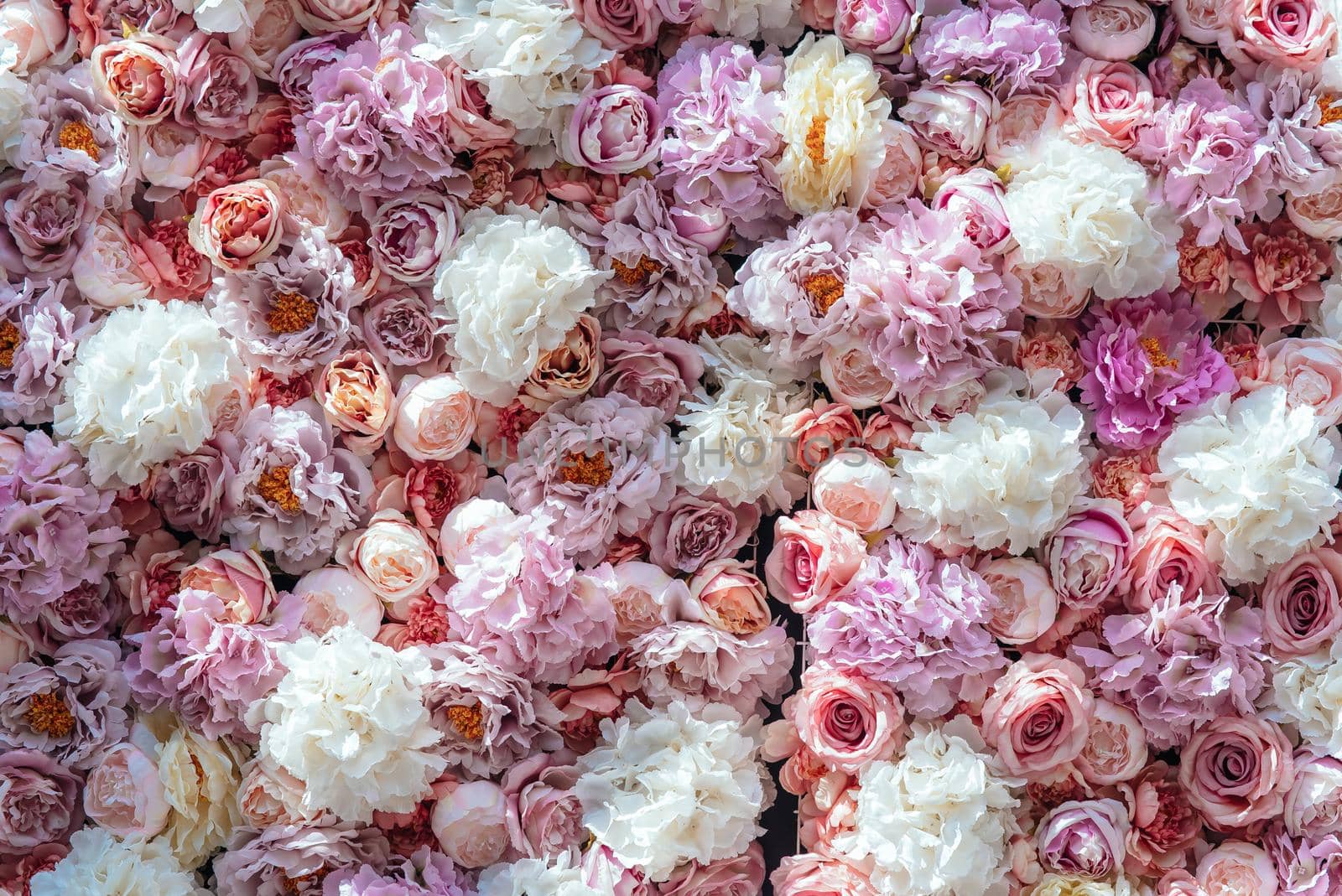 Bright pink roses as background, colorful flowers