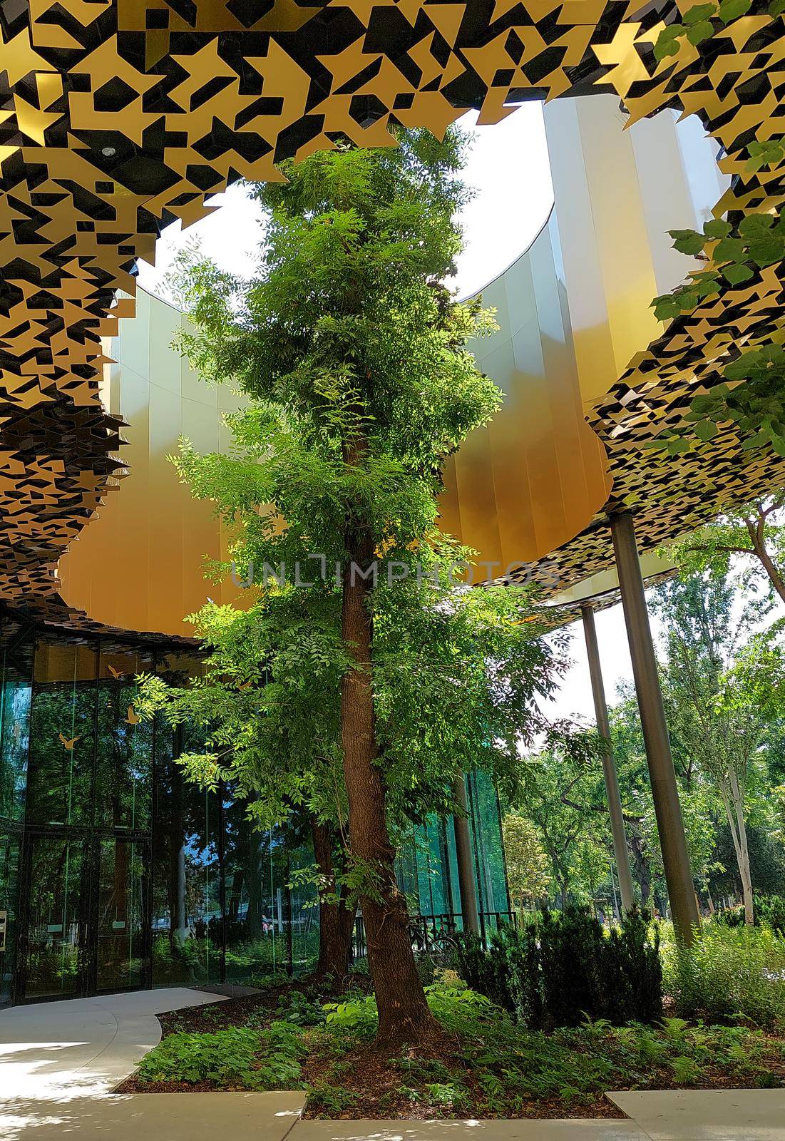 Budapest, Hungary - House of Hungarian music. Detail leafy tree in architecture.