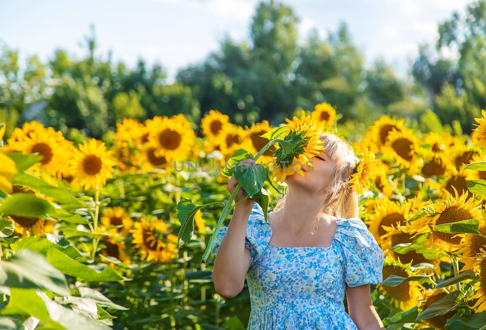 Woman in a field of sunflowers. Ukraine. Selective focus. by yanadjana
