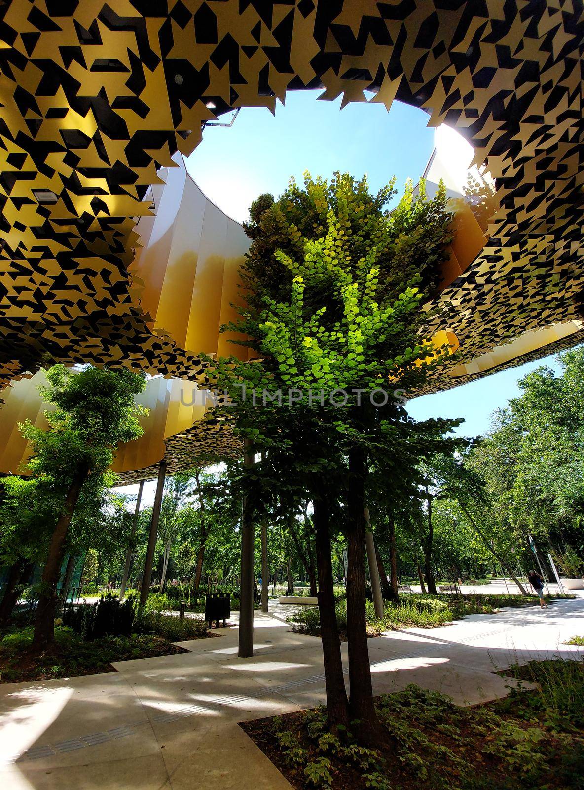 Budapest, Hungary - House of Hungarian music. Detail leafy tree in architecture.