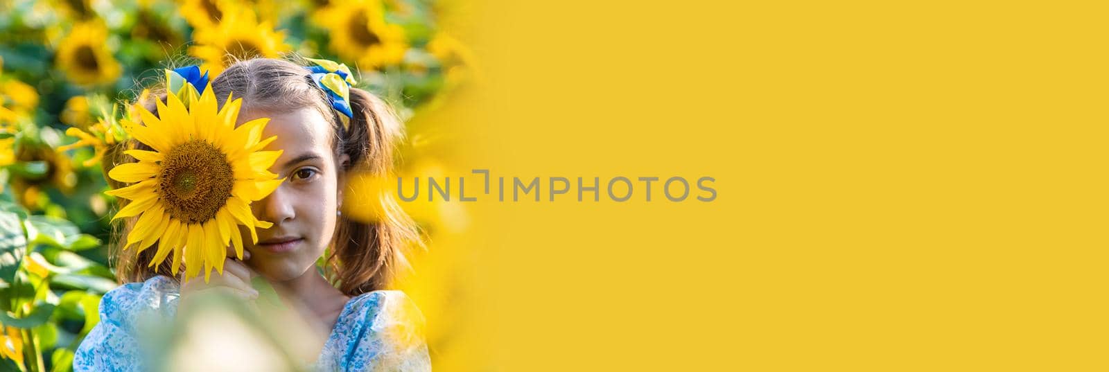A child in a field of sunflowers. Ukraine. Selective focus. Nature.
